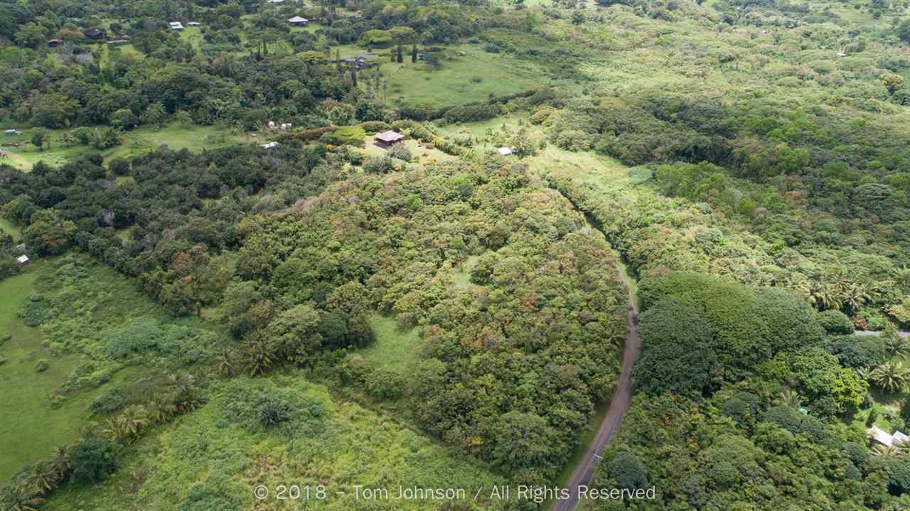 255 Uwala Road Hana, HI 96713 - Photo 8 of 17 a view of a forest with a street