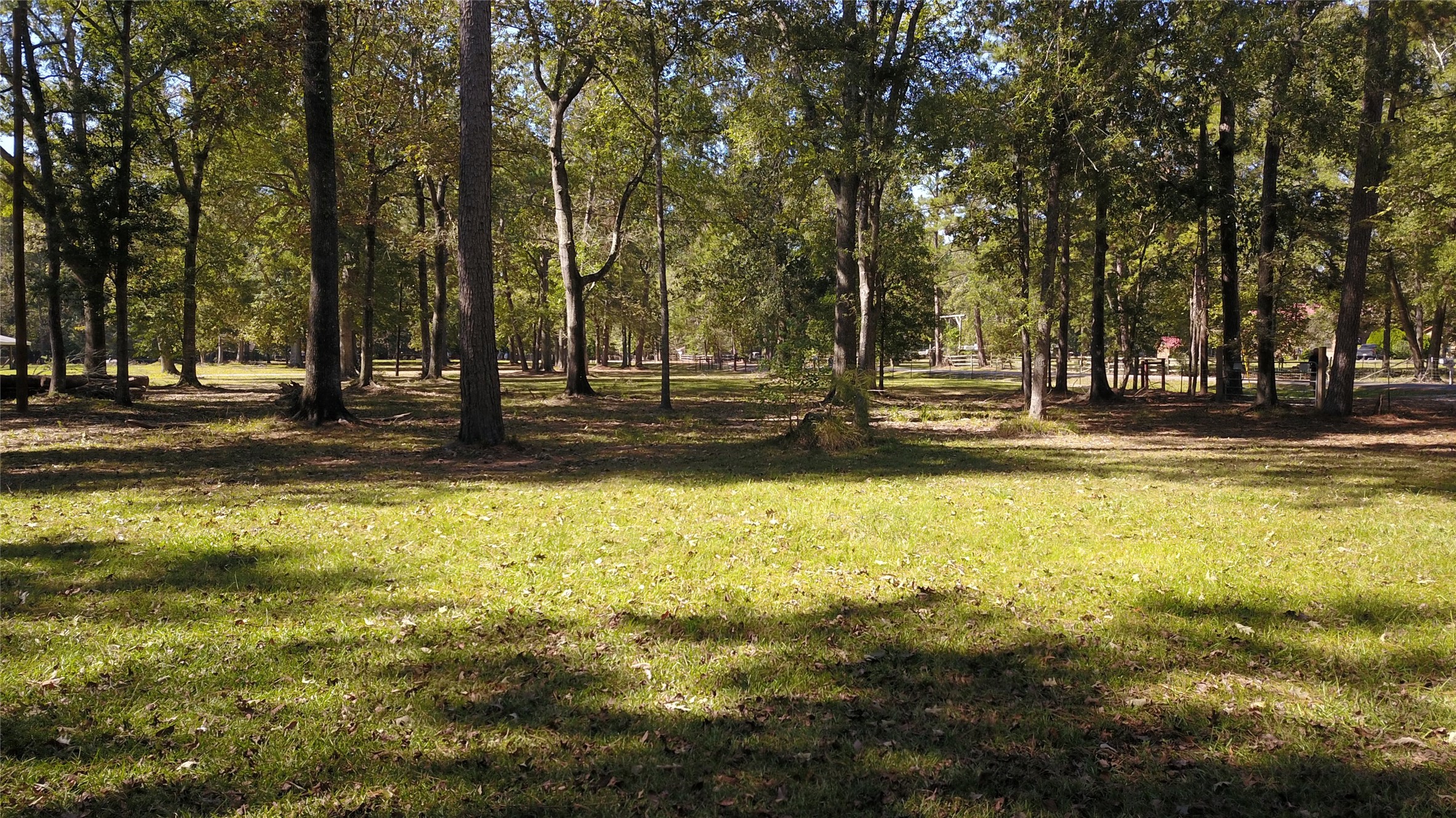 a view of a swimming pool with an outdoor space