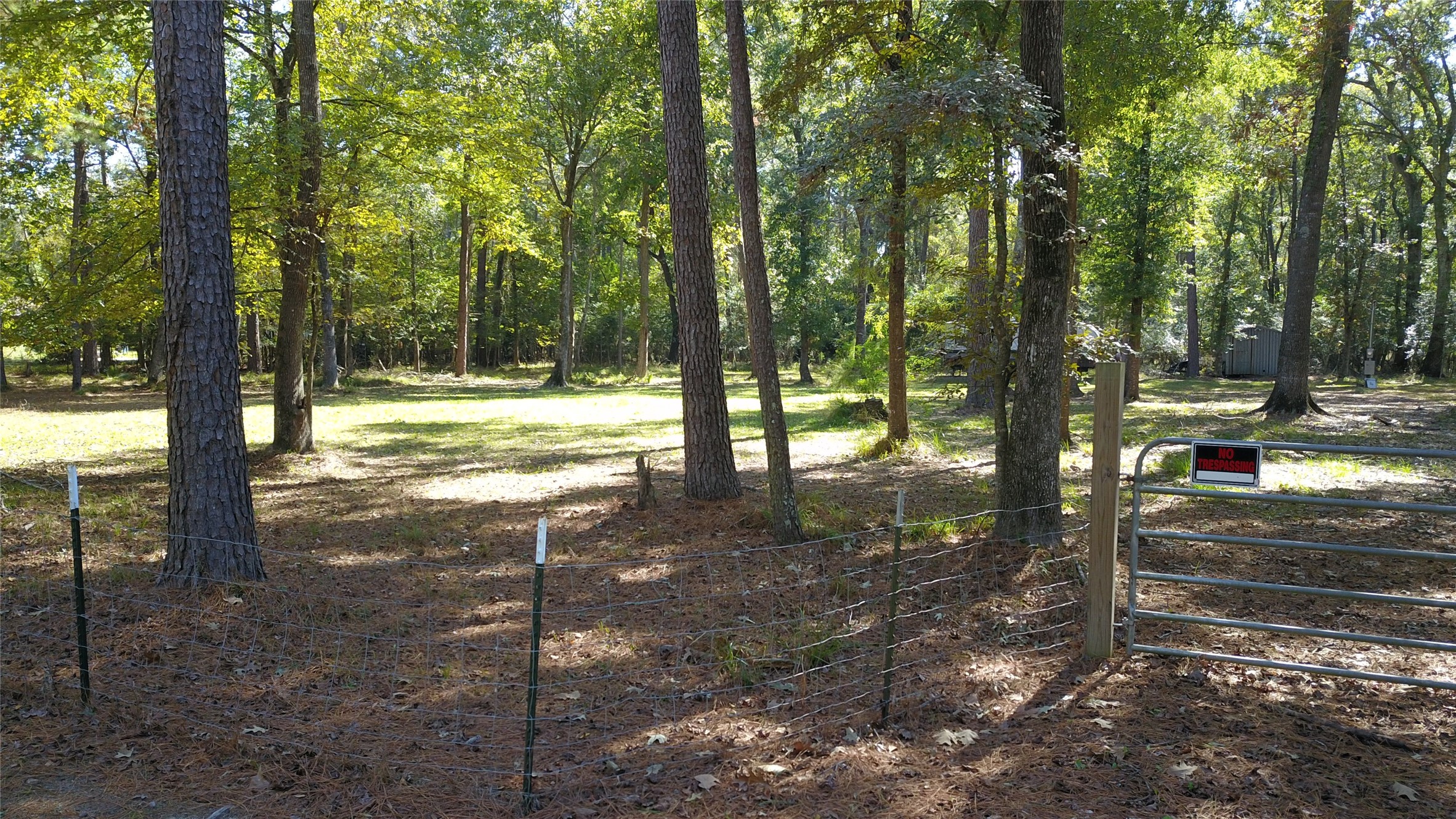 2023 Holder Rambo Drive Huffman, TX 77336 - Photo 2 of 5 a view of yard with trees