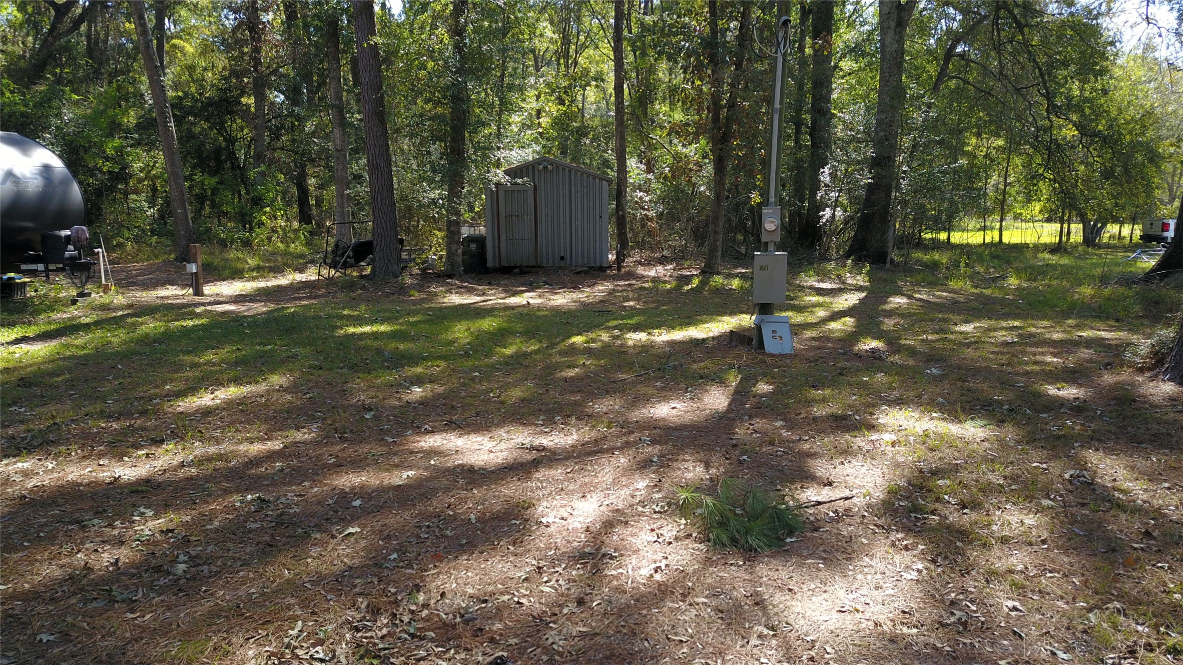 2023 Holder Rambo Drive Huffman, TX 77336 - Photo 3 of 5 a view of a tree in a yard