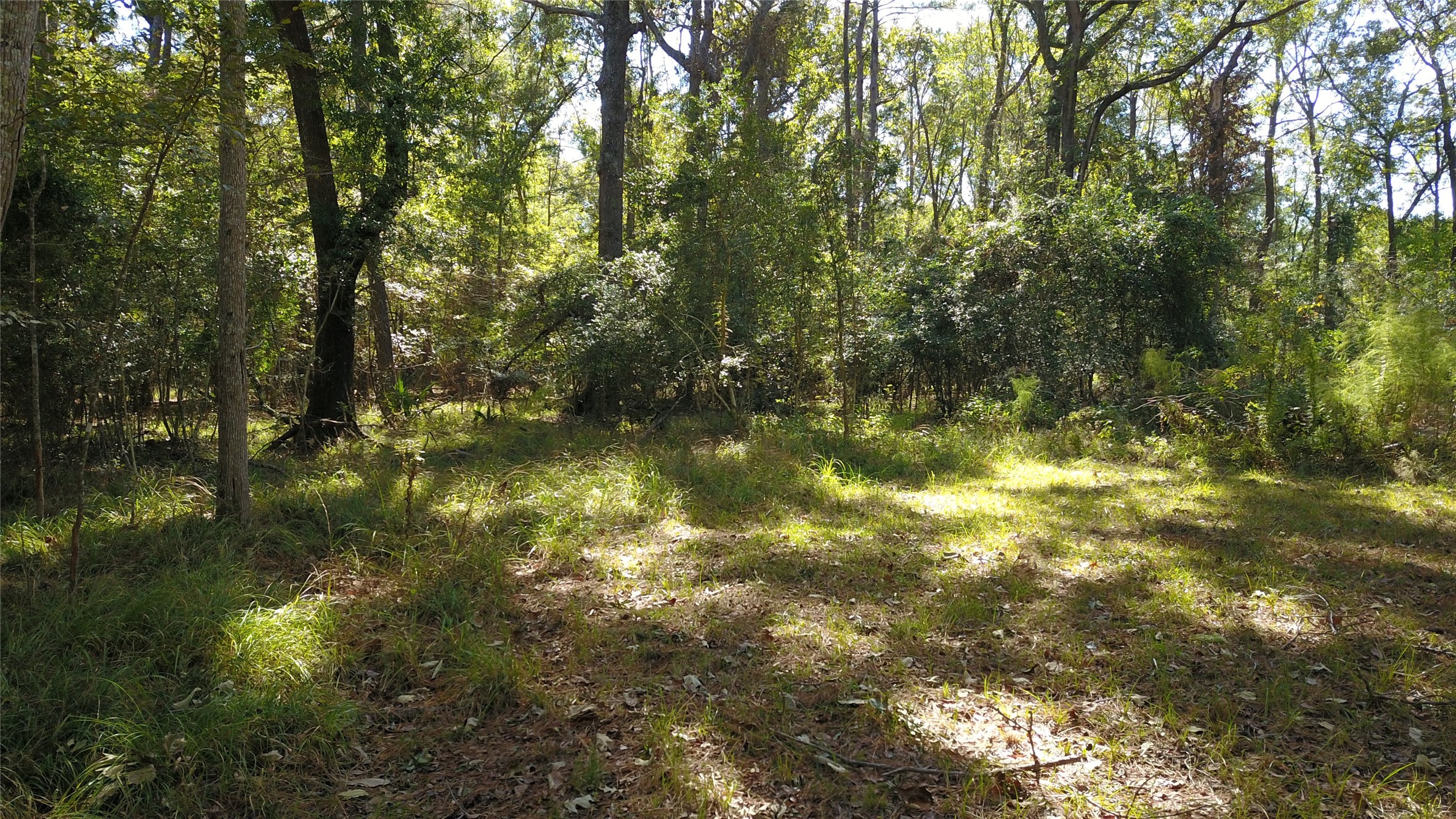 2023 Holder Rambo Drive Huffman, TX 77336 - Photo 4 of 5 a view of lake view