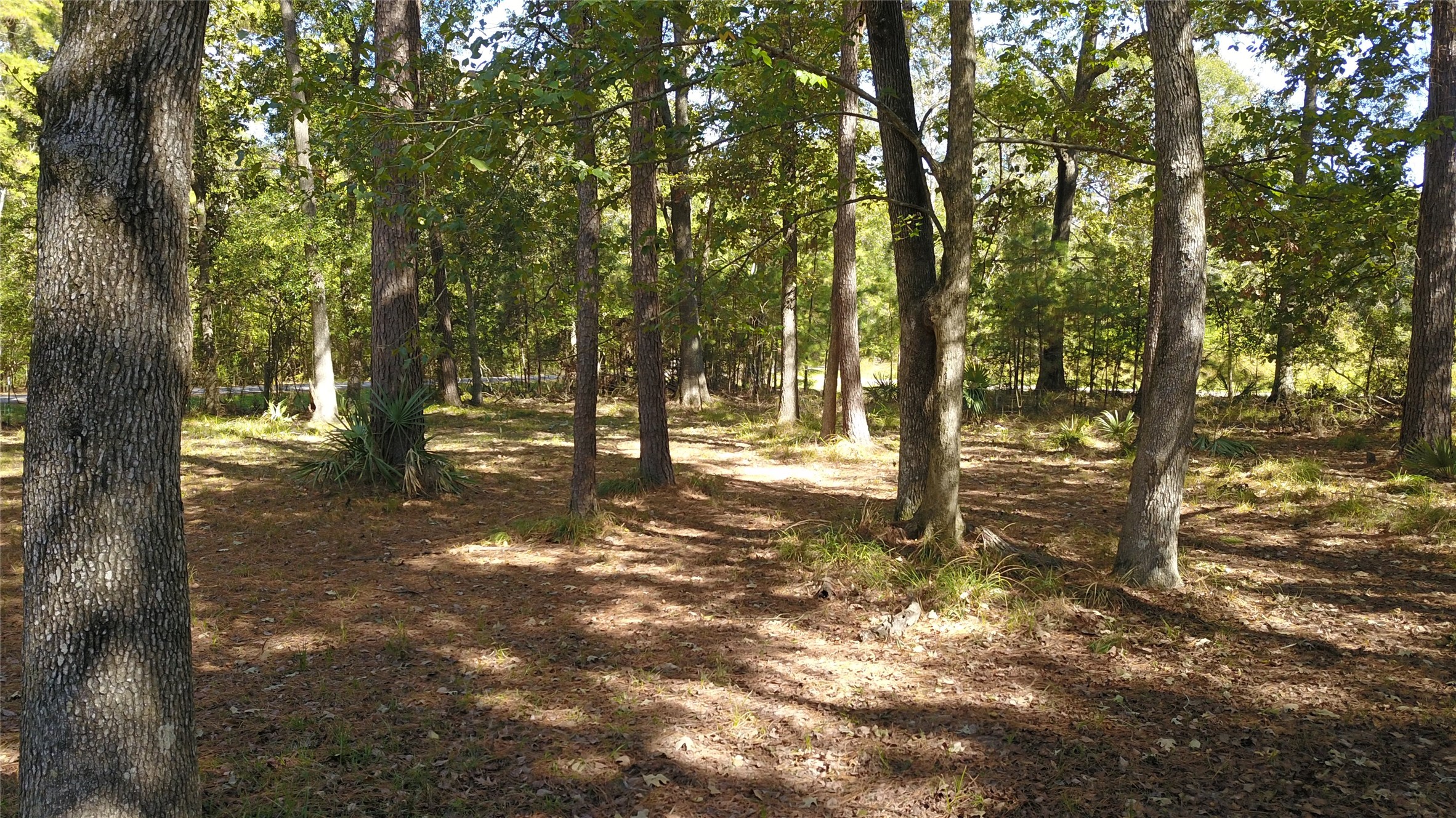 2023 Holder Rambo Drive Huffman, TX 77336 - Photo 5 of 5 a view of outdoor space with trees