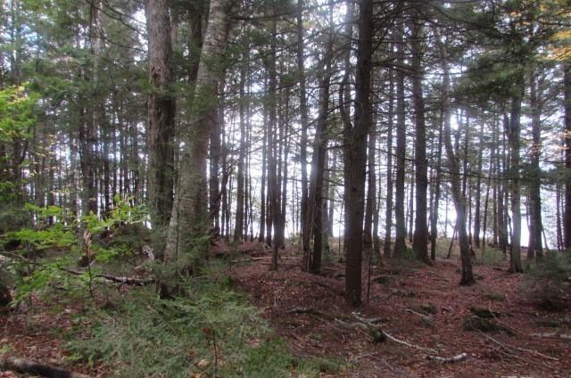Lot 7 Bluff Road Enfield, ME 04493 - Photo 5 of 12 Lake view