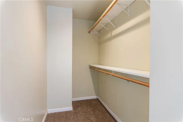 a view of a tiny house with a large tree