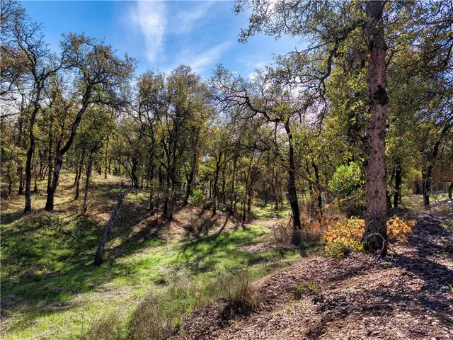 $350,000 | 16055 29th Avenue, Clearlake, CA 95422
