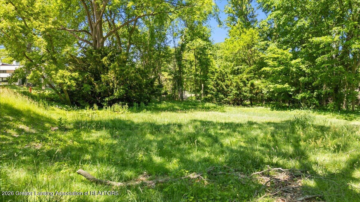 201 Ridge Road East Lansing, MI 48823 - Photo 4 of 18 11-Media Jett - 02
