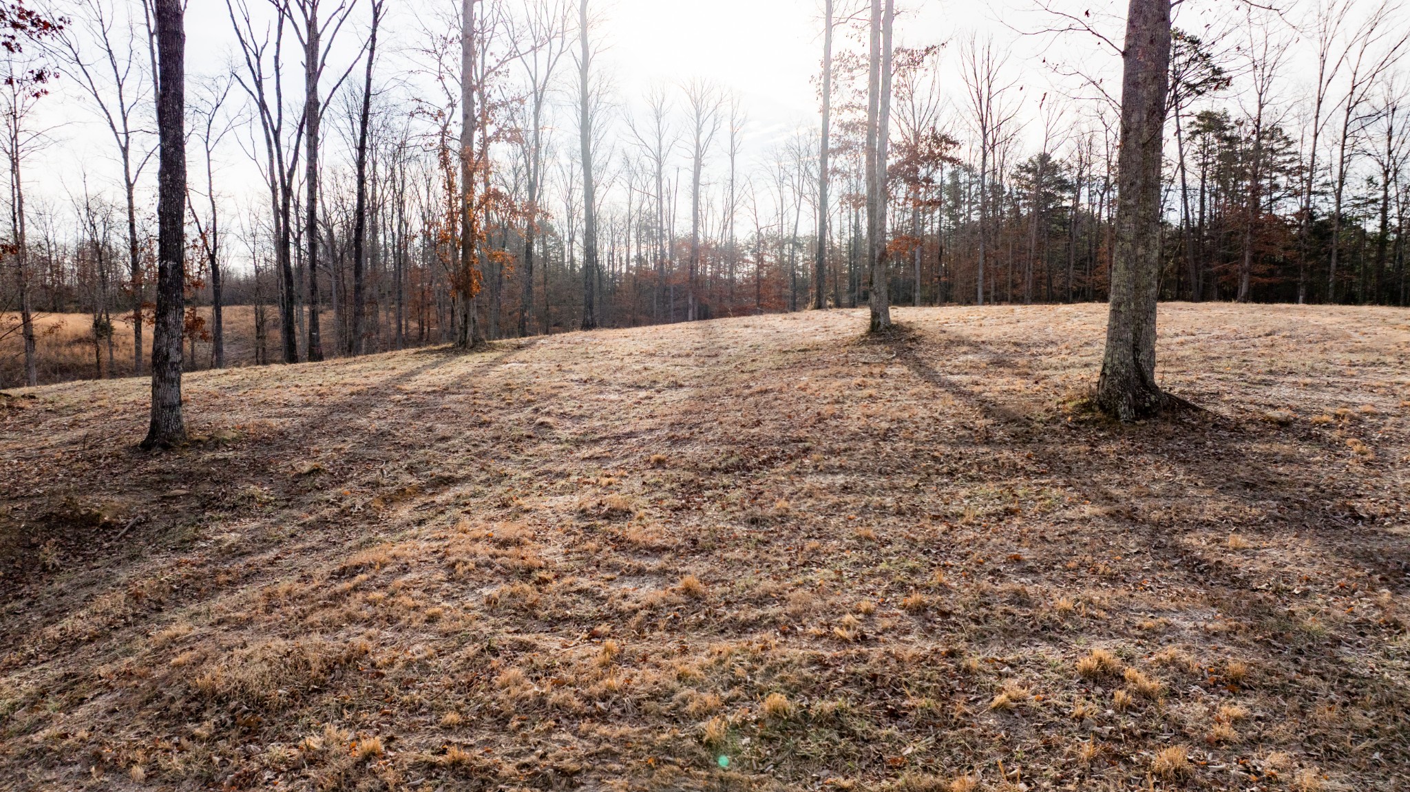 4 Pinewood Road Nunnelly, TN 37137 - Photo 1 of 16