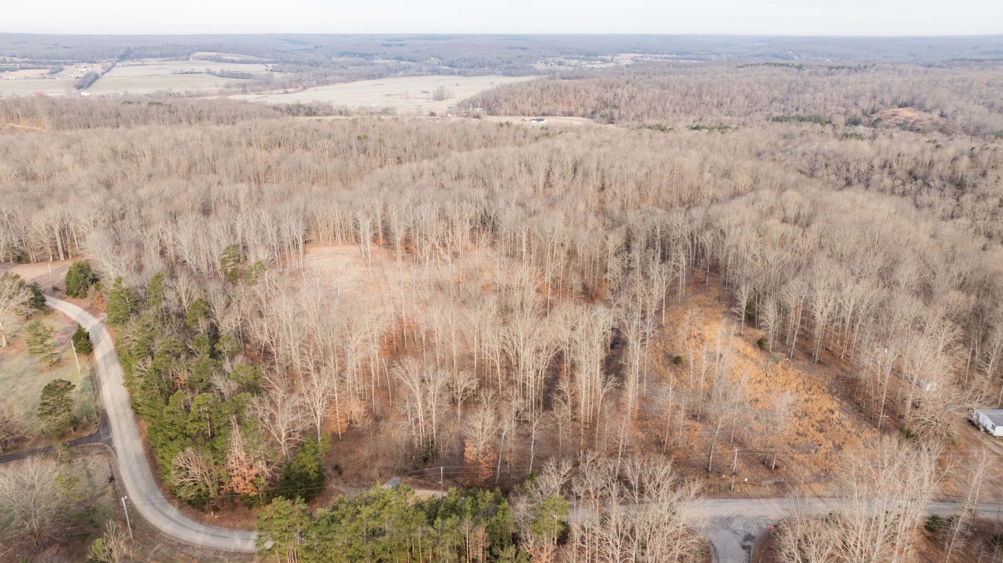 4 Pinewood Road Nunnelly, TN 37137 - Photo 13 of 16 a view of a city with lush green forest