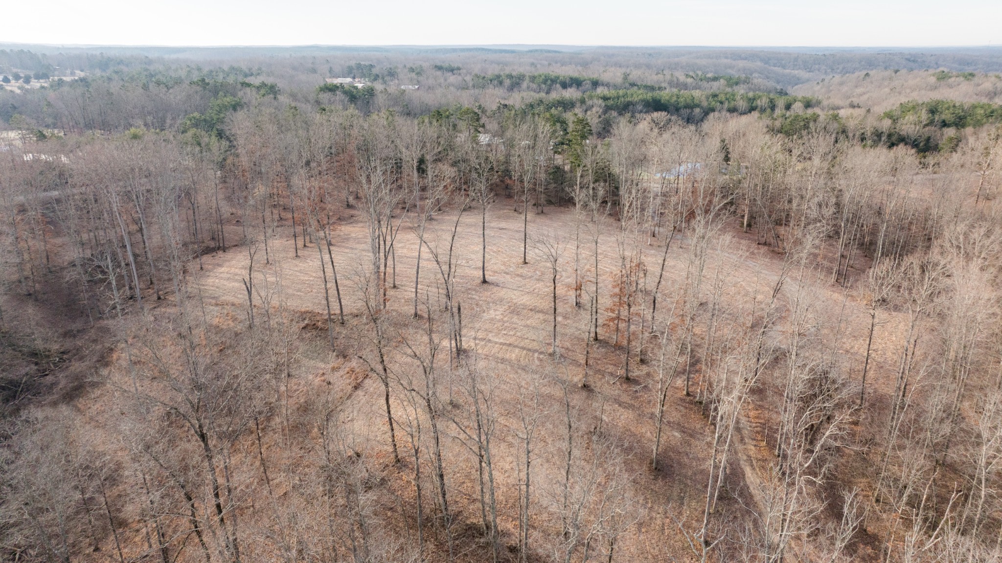4 Pinewood Road Nunnelly, TN 37137 - Photo 15 of 16 a view of a yard with trees in the background