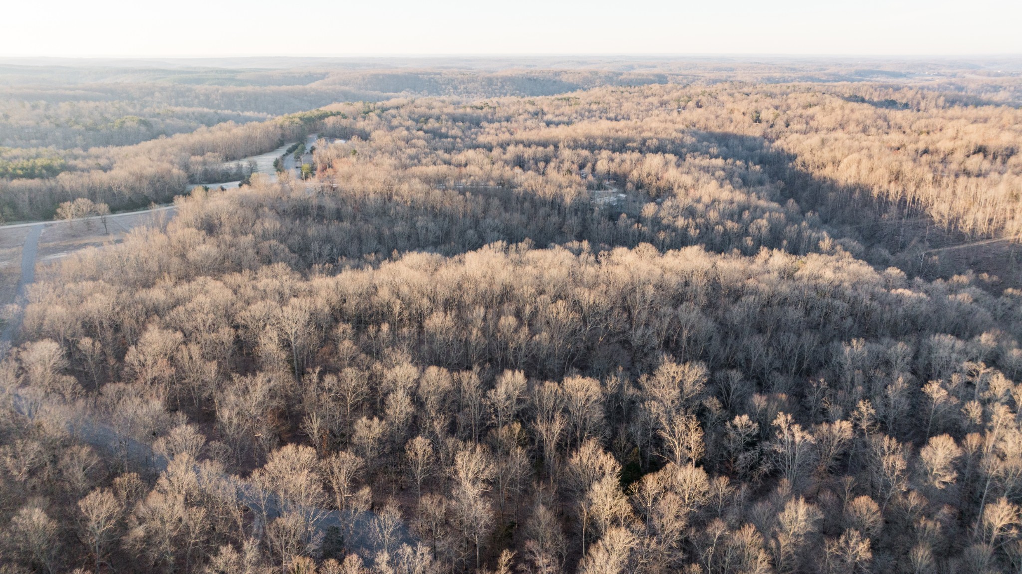 4 Pinewood Road Nunnelly, TN 37137 - Photo 16 of 16 a view of city and mountain
