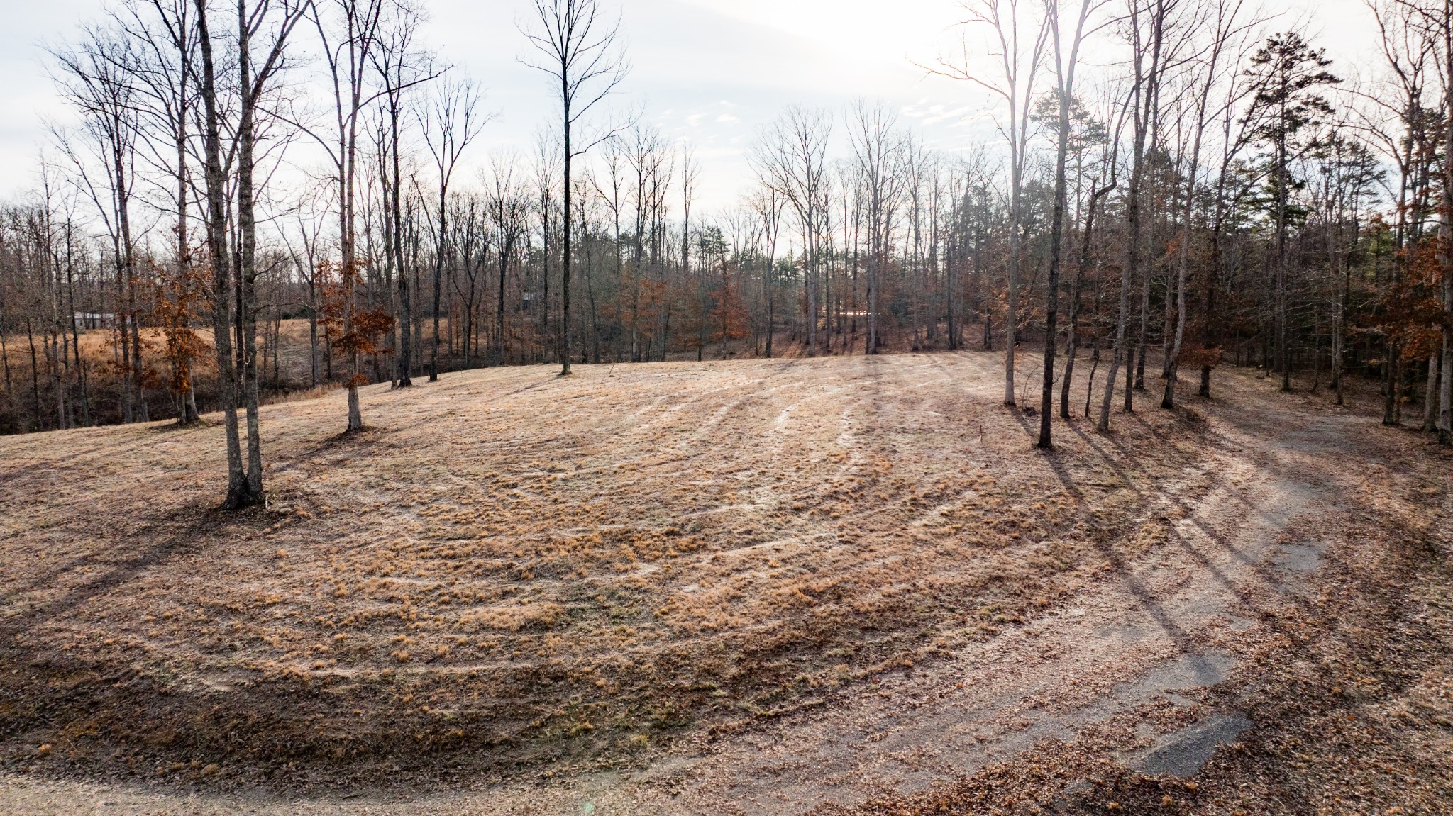 4 Pinewood Road Nunnelly, TN 37137 - Photo 2 of 16 a view of a yard with trees