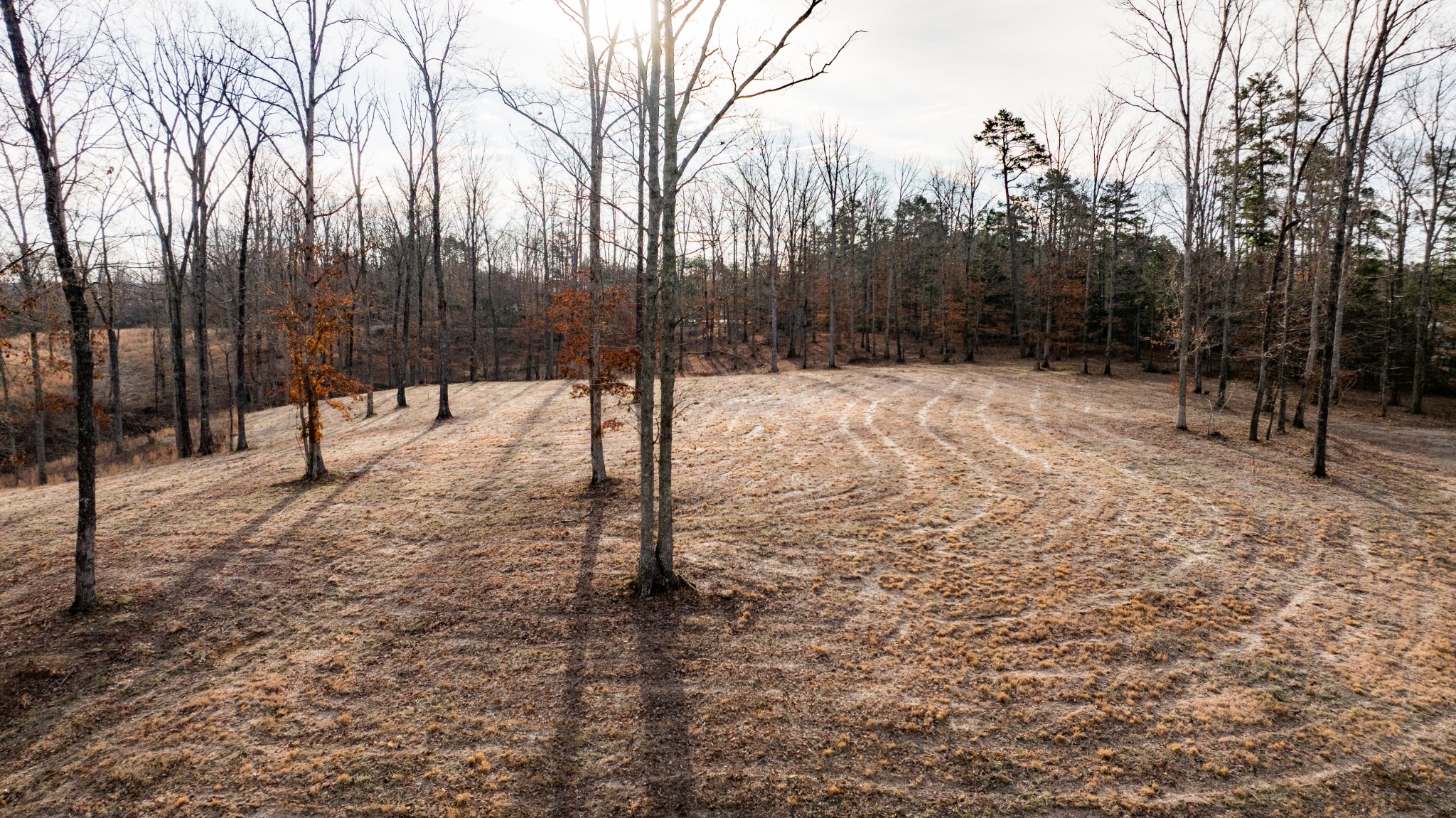 4 Pinewood Road Nunnelly, TN 37137 - Photo 3 of 16 a view of a yard with trees