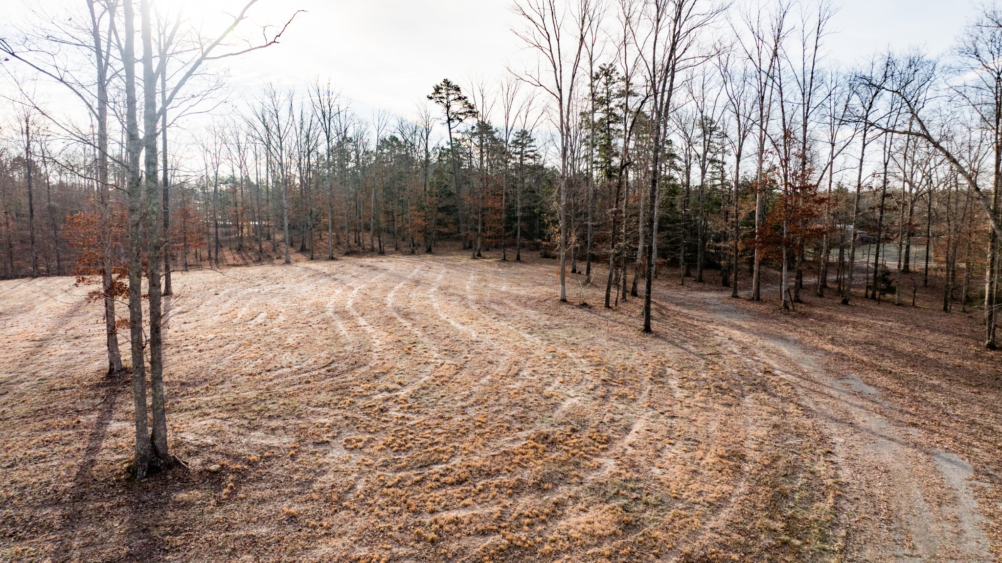 4 Pinewood Road Nunnelly, TN 37137 - Photo 4 of 16 a view of outdoor space with trees