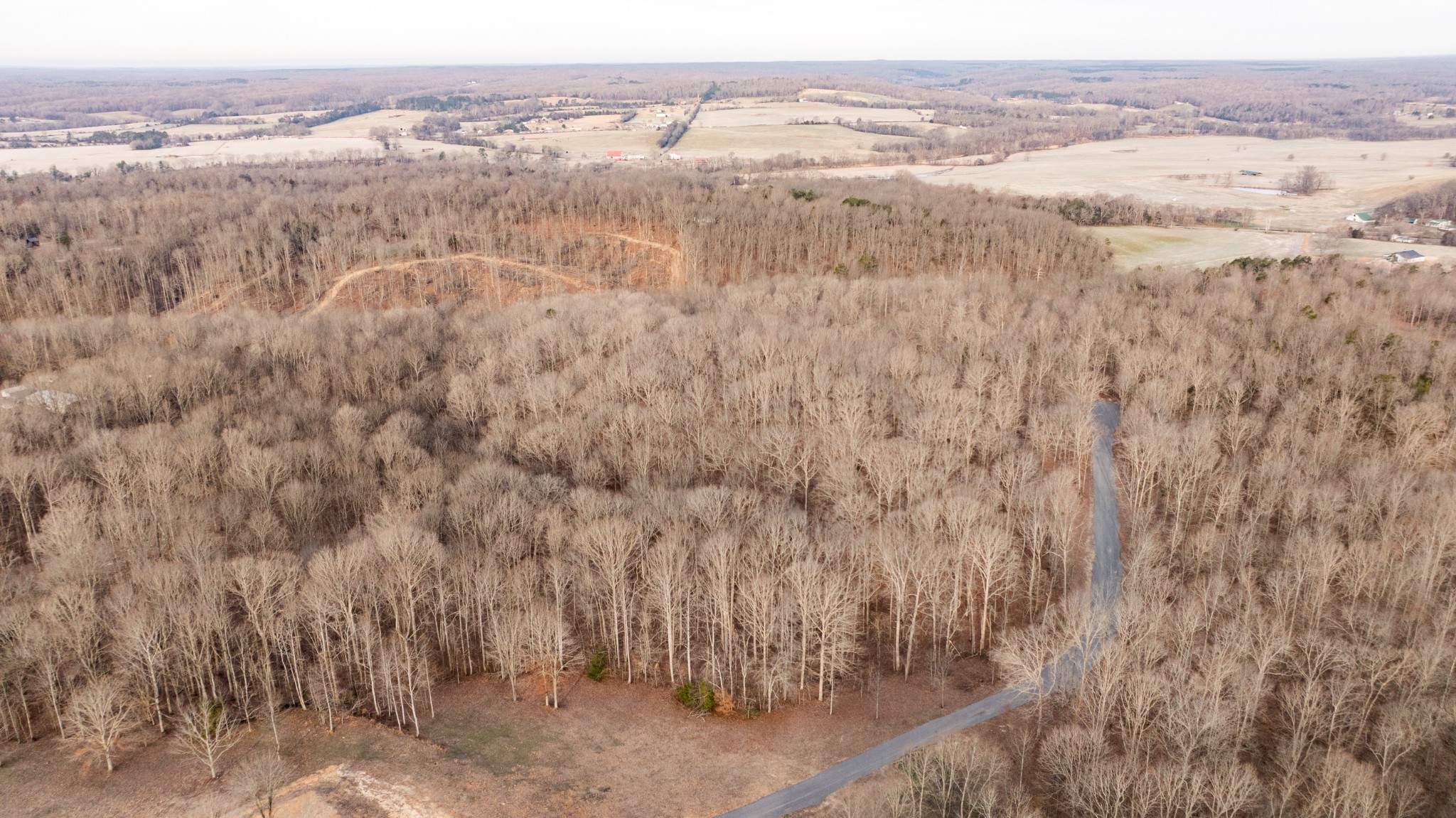 4 Pinewood Road Nunnelly, TN 37137 - Photo 7 of 16 a view of city and mountain