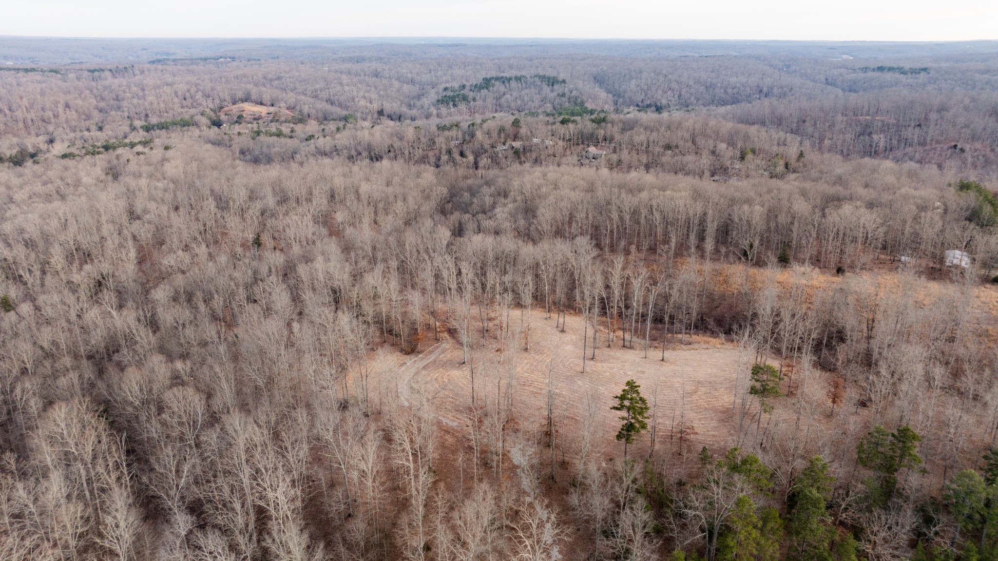 4 Pinewood Road Nunnelly, TN 37137 - Photo 8 of 16