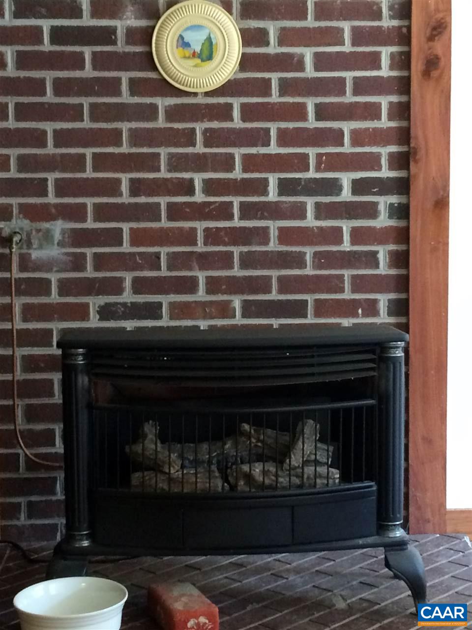 5656 Fitzgerald Road Charlottesville, VA 22903 - Photo 9 of 14 a close view of a fireplace in the room