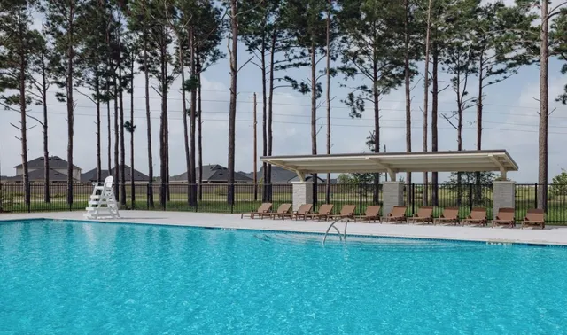 a view of a yard with palm trees