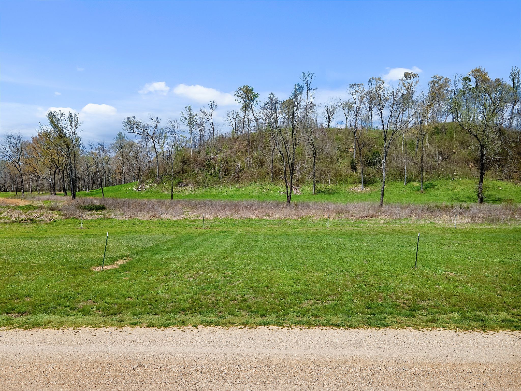 894 Lexi Lane Clifton, TN 38425 - Photo 8 of 35 a view of outdoor space with green field