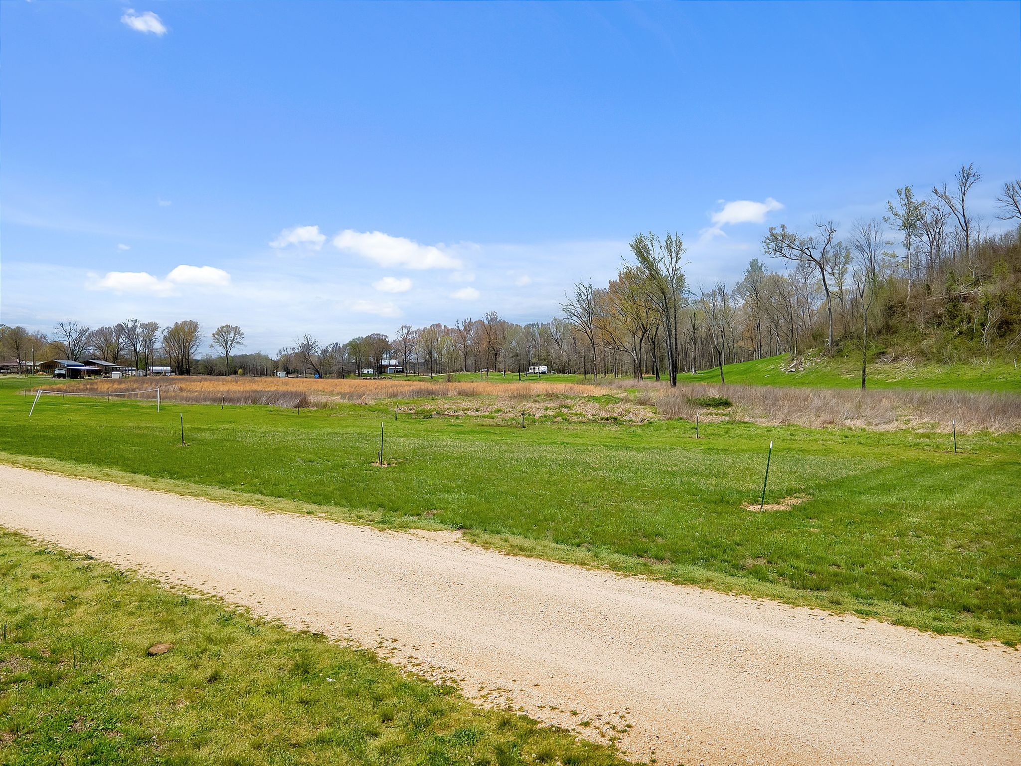 894 Lexi Lane Clifton, TN 38425 - Photo 9 of 35 a view of a park