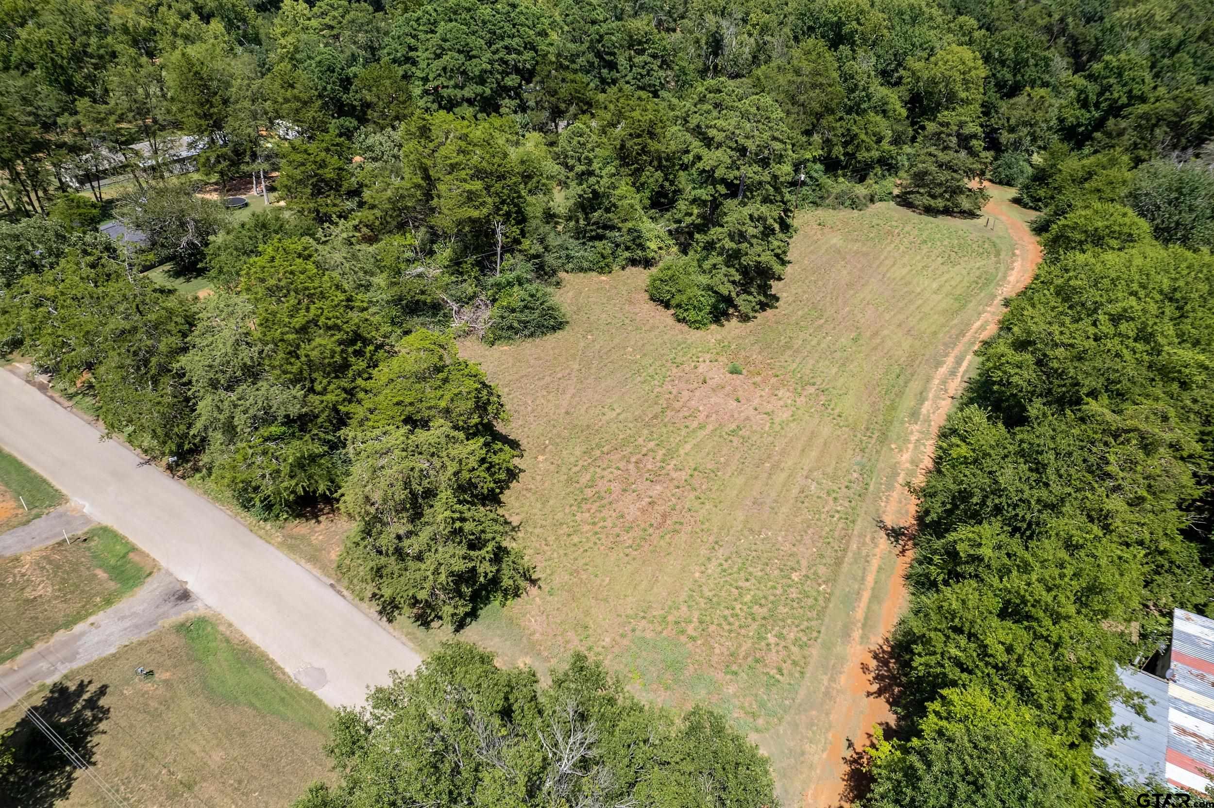 13174 County Road 434 Lindale, TX 75771 - Photo 1 of 32 a view of a yard with plants
