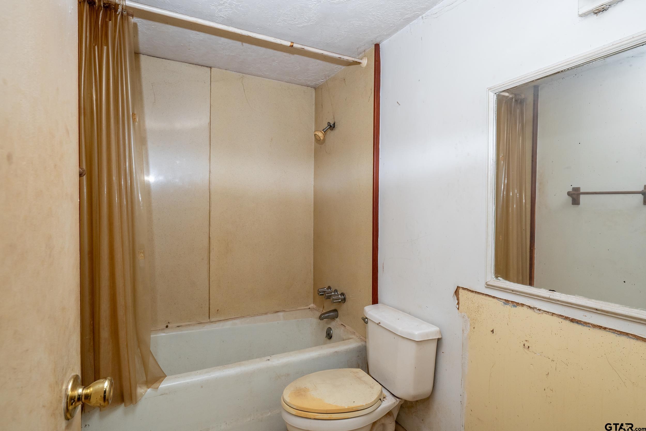 13174 County Road 434 Lindale, TX 75771 - Photo 15 of 32 a bathroom with a toilet and a bathtub