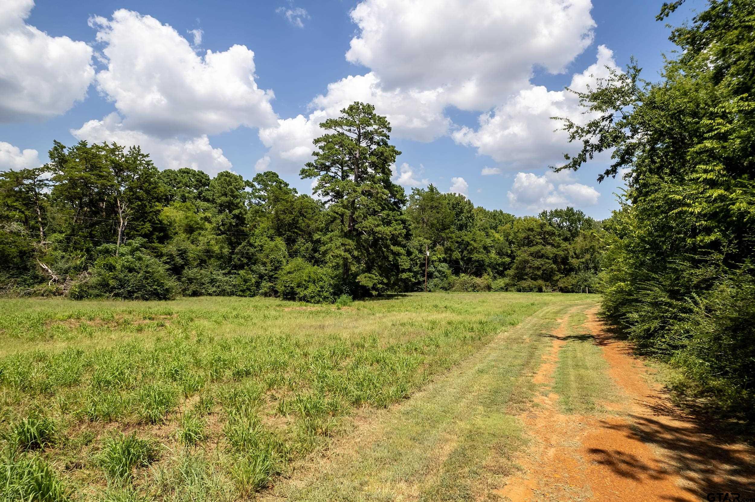 13174 County Road 434 Lindale, TX 75771 - Photo 2 of 32 a view of a big yard with plants and large trees