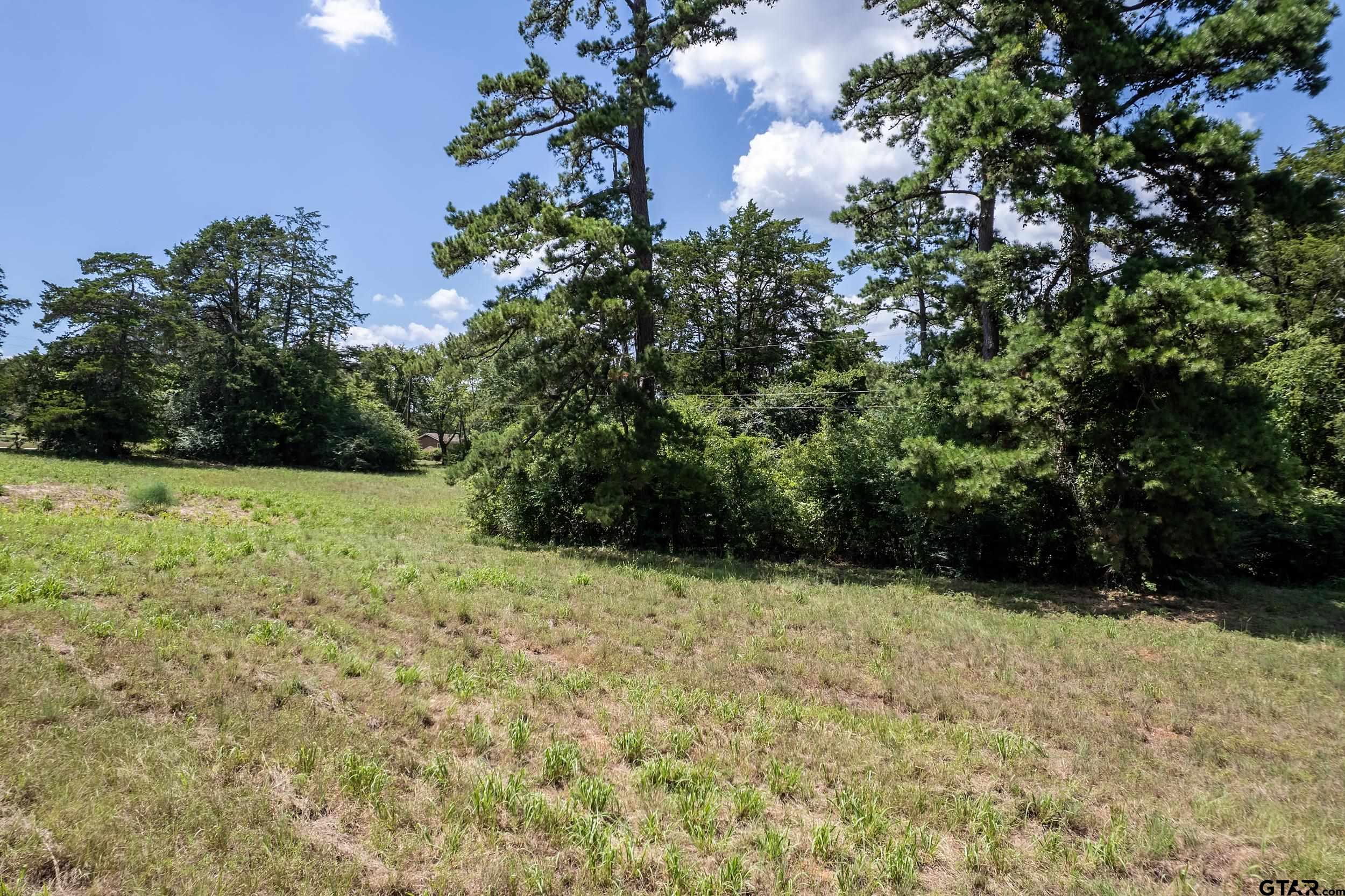 13174 County Road 434 Lindale, TX 75771 - Photo 24 of 32 a view of a garden