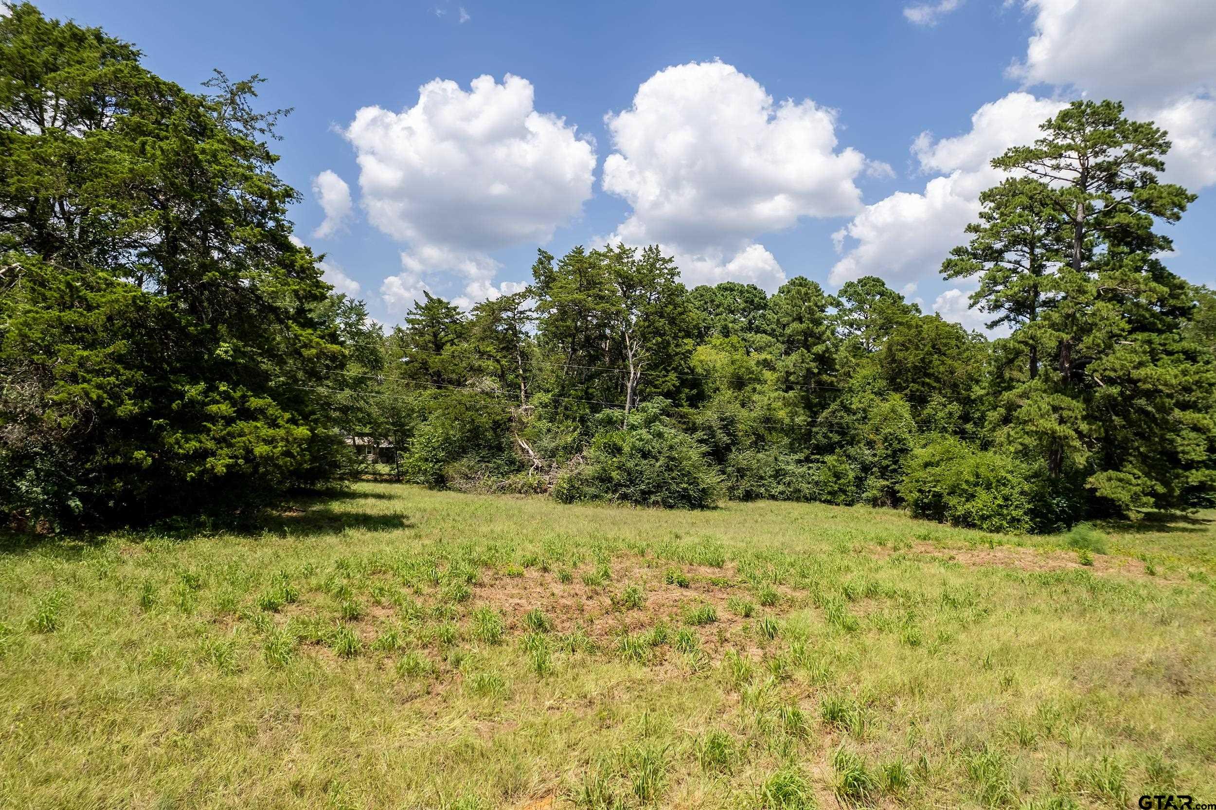 13174 County Road 434 Lindale, TX 75771 - Photo 25 of 32