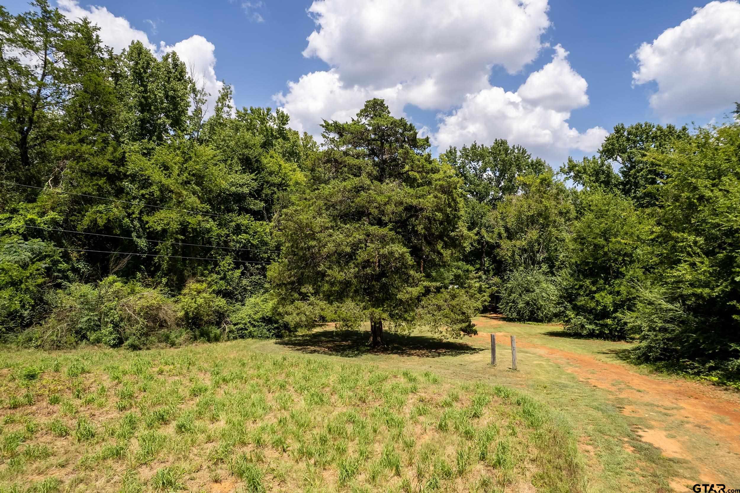 13174 County Road 434 Lindale, TX 75771 - Photo 27 of 32 a view of a yard with plants