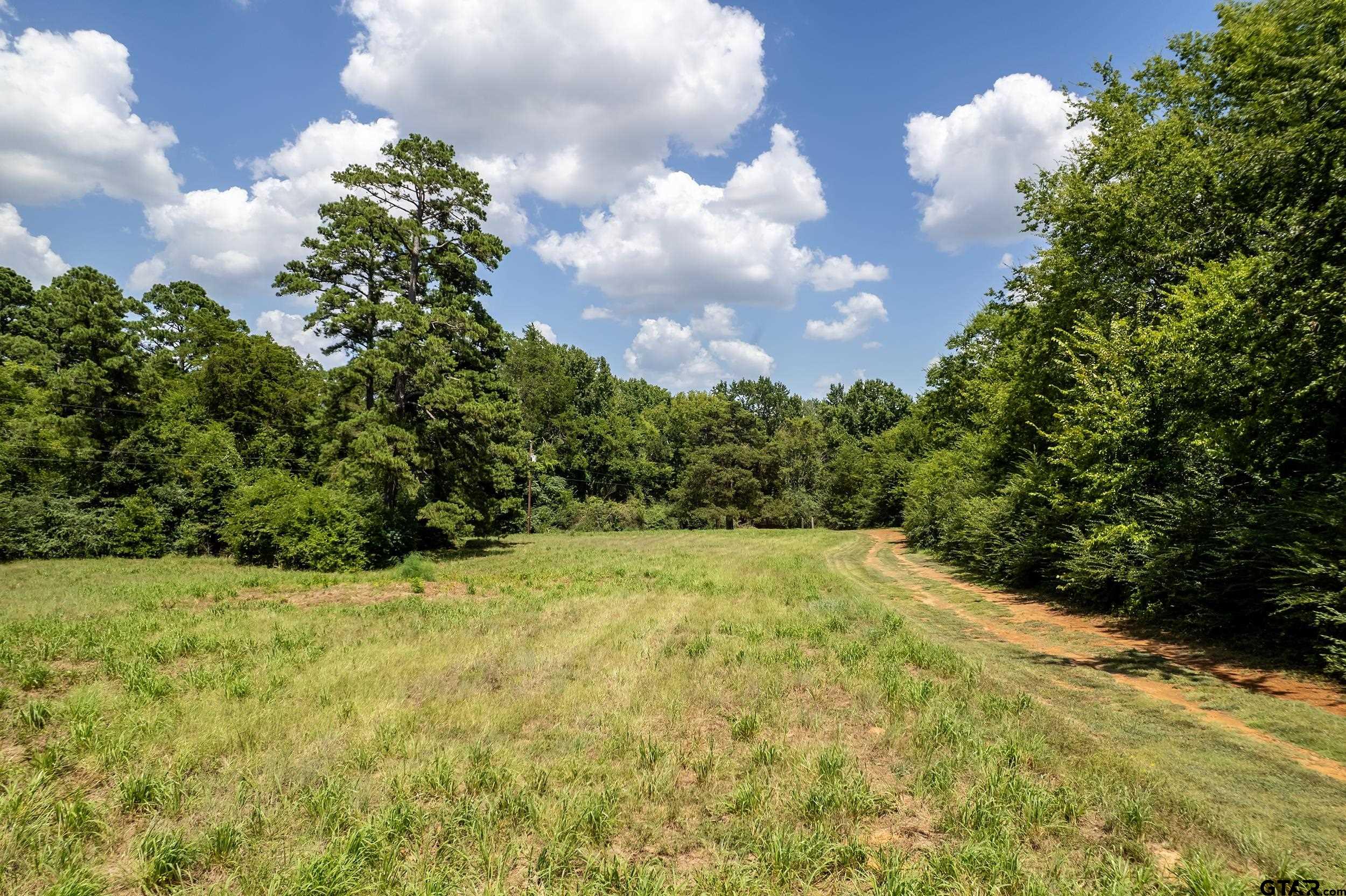 13174 County Road 434 Lindale, TX 75771 - Photo 3 of 32 a view of a yard with yellow lighting
