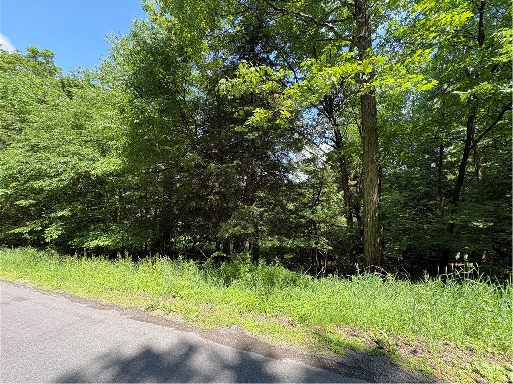 Stage Road South Otselic, NY 13155 - Photo 7 of 29