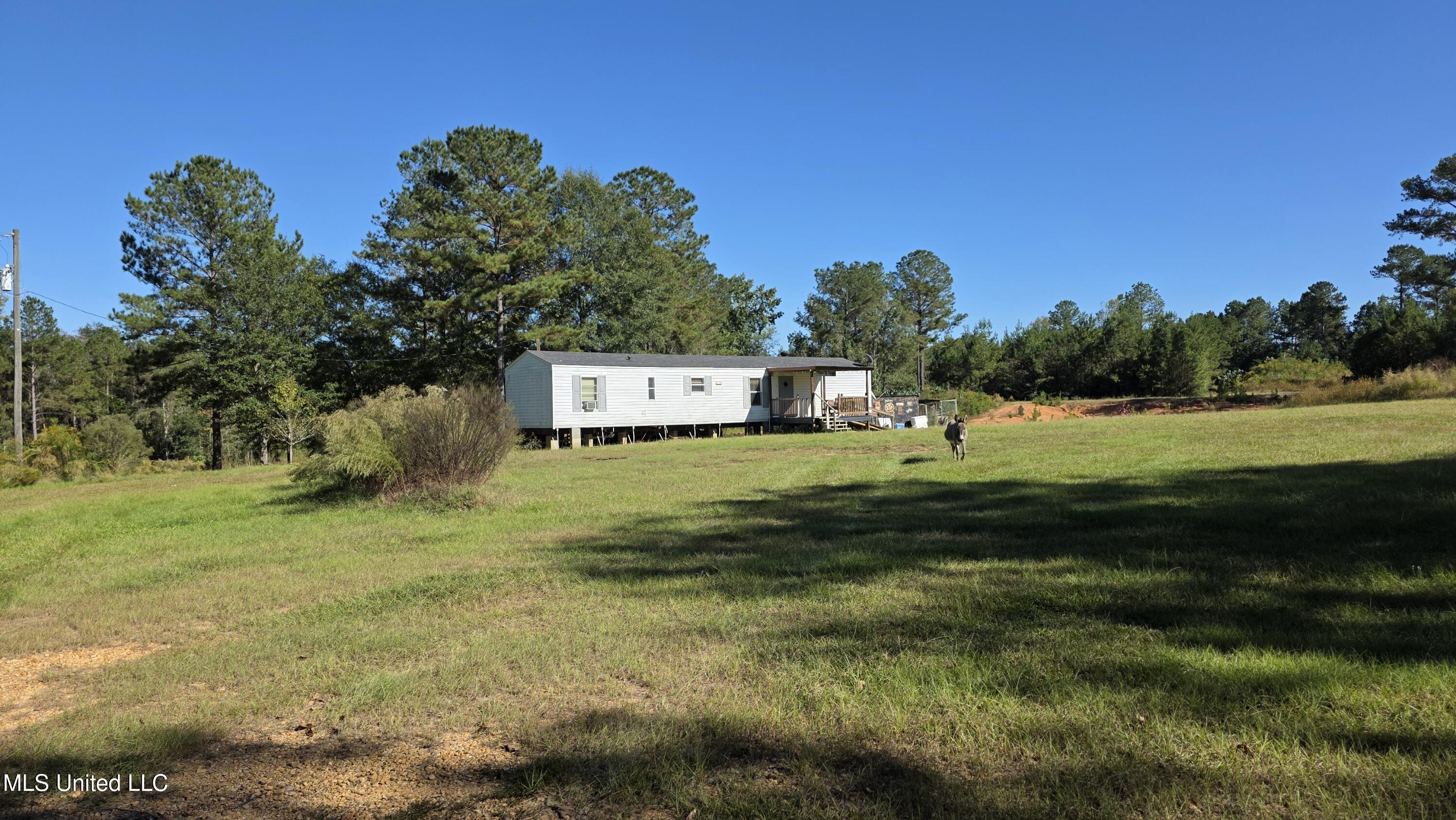 2182 Barto Leggett Road McComb, MS 39648 - Photo 16 of 69 2025-10-22 15.04.15