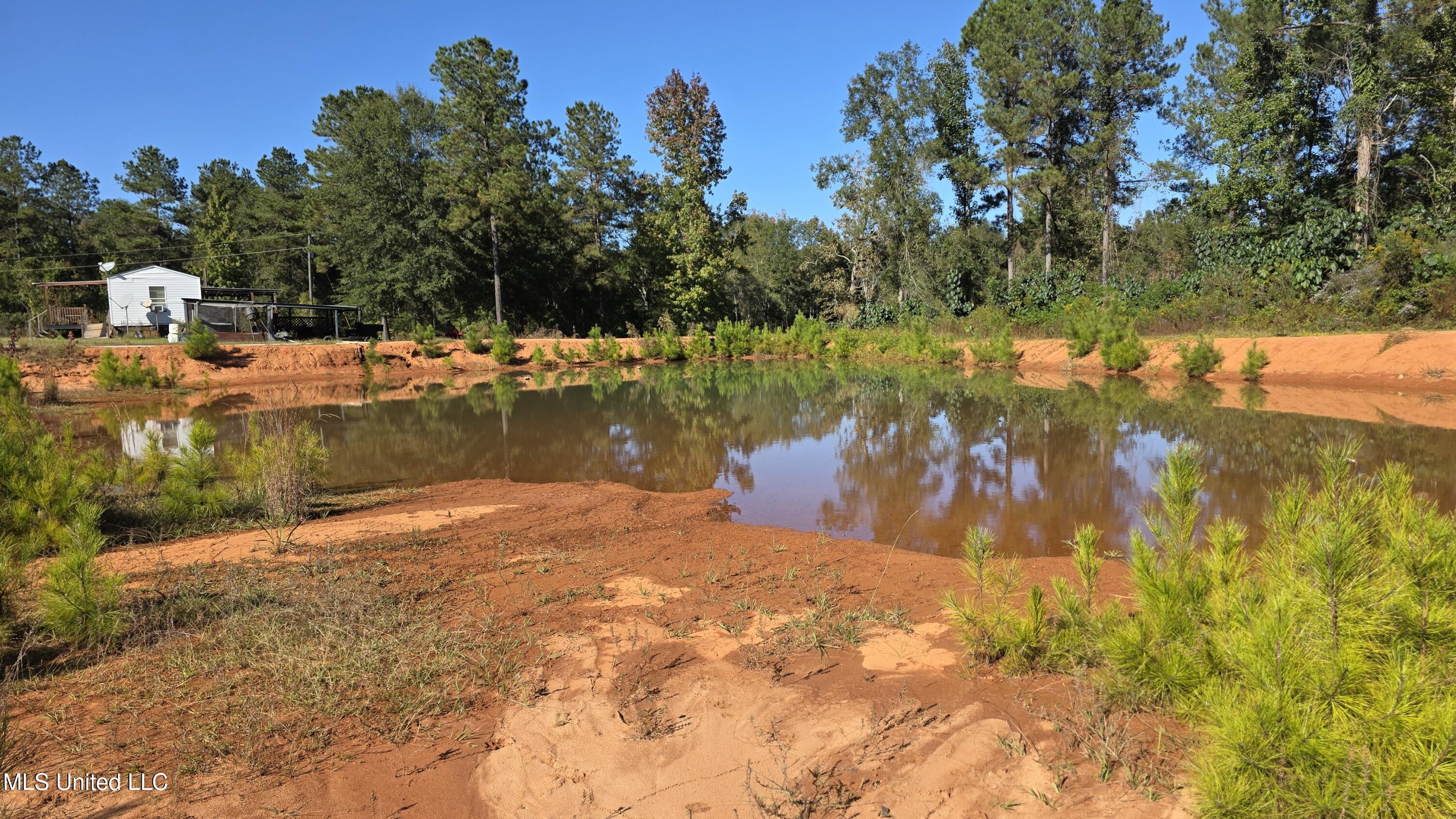 2182 Barto Leggett Road McComb, MS 39648 - Photo 24 of 69 2025-10-22 15.08.52