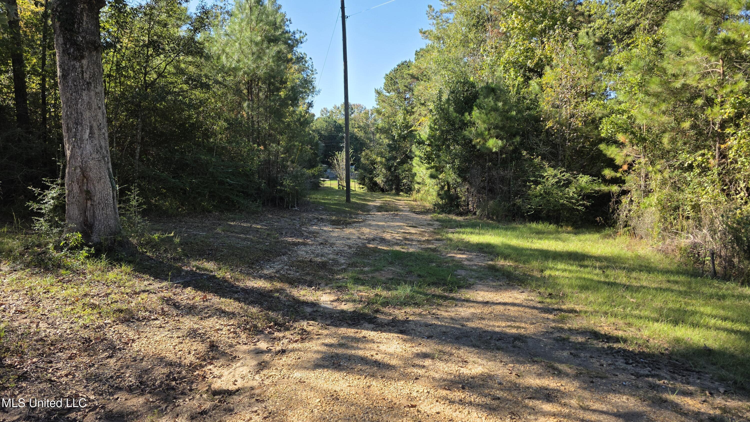 2182 Barto Leggett Road McComb, MS 39648 - Photo 29 of 69 2025-10-22 15.41.28