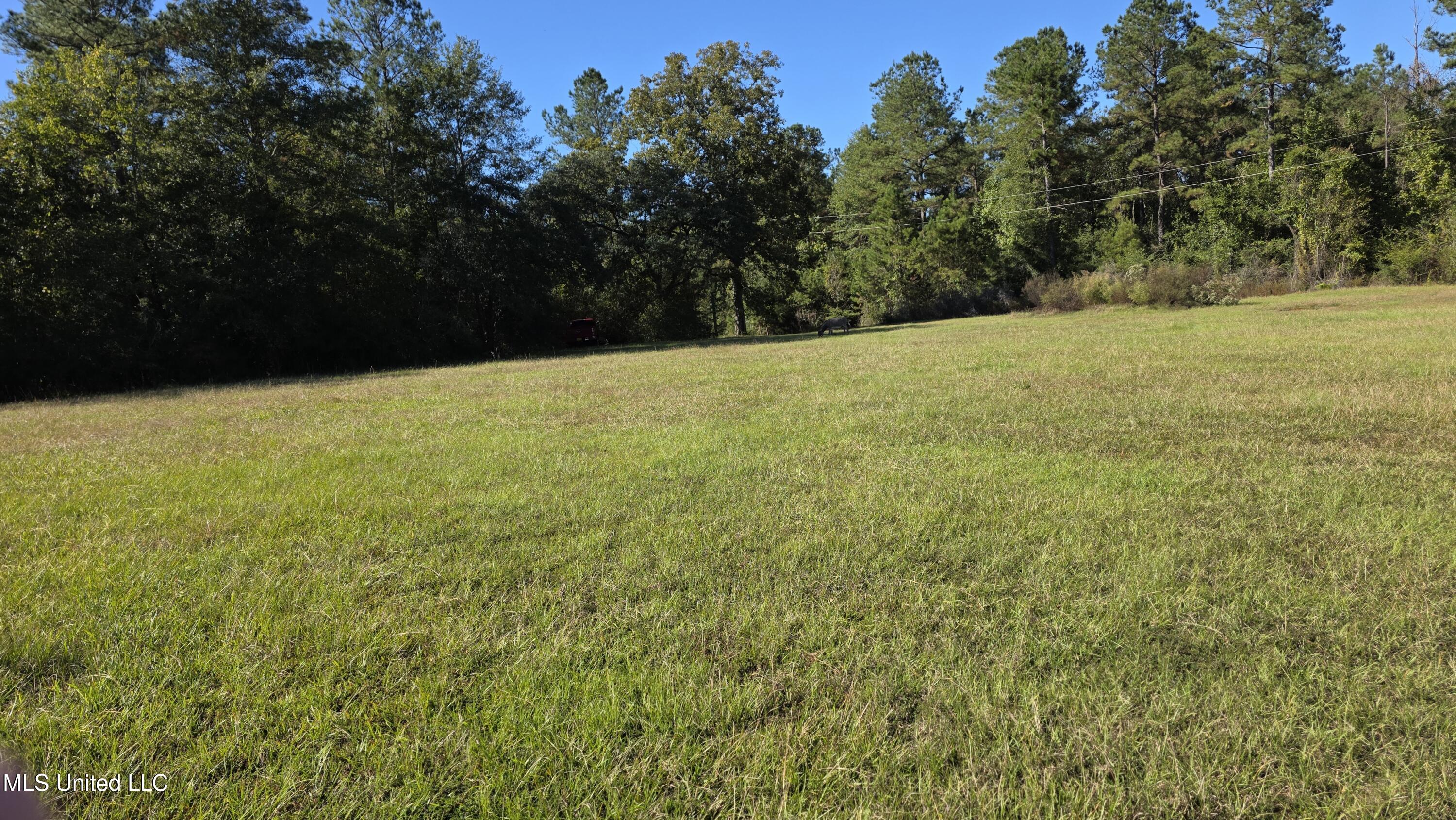 2182 Barto Leggett Road McComb, MS 39648 - Photo 32 of 69 2025-10-22 15.06.10