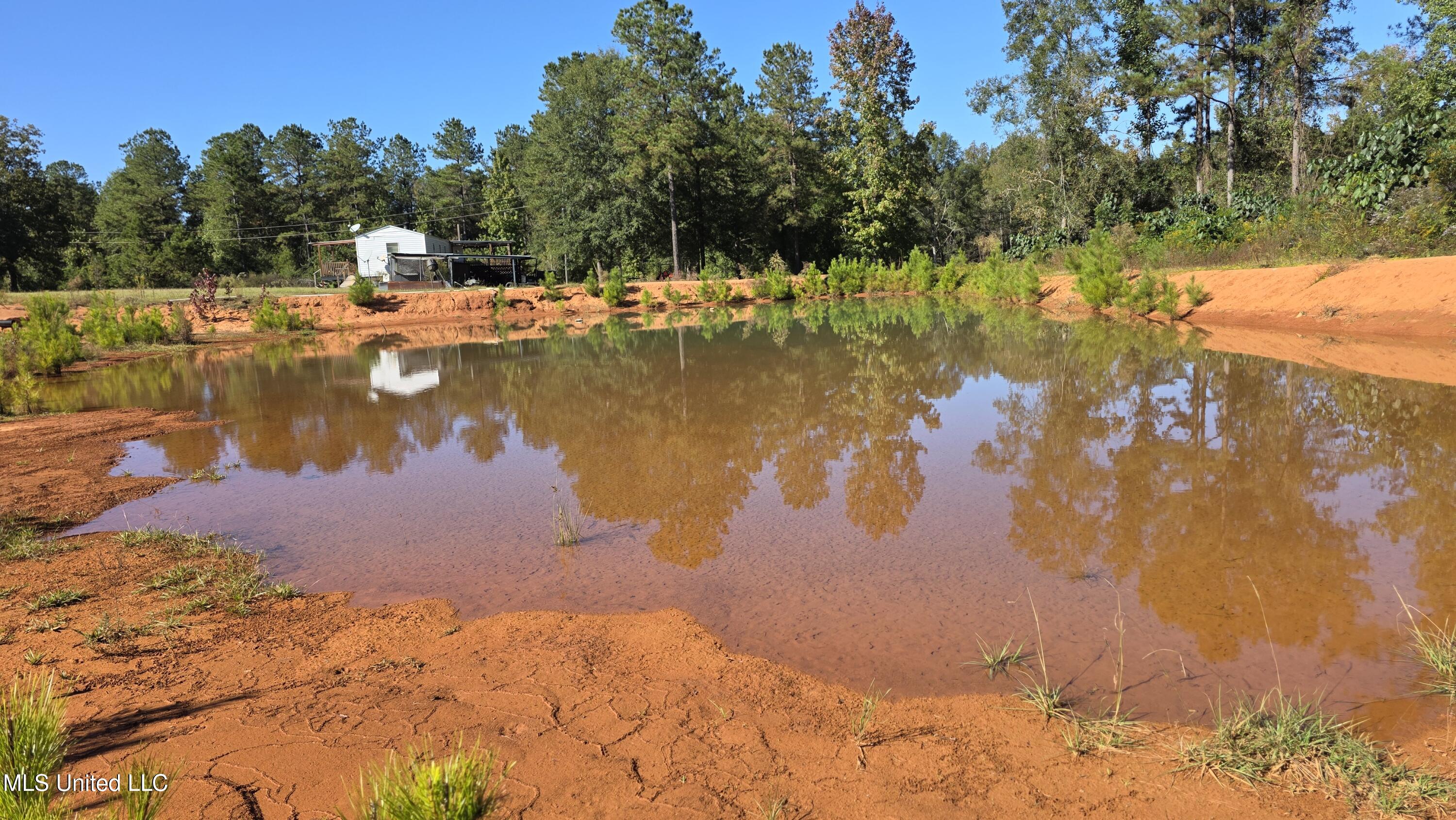 2182 Barto Leggett Road McComb, MS 39648 - Photo 37 of 69 2025-10-22 15.09.18