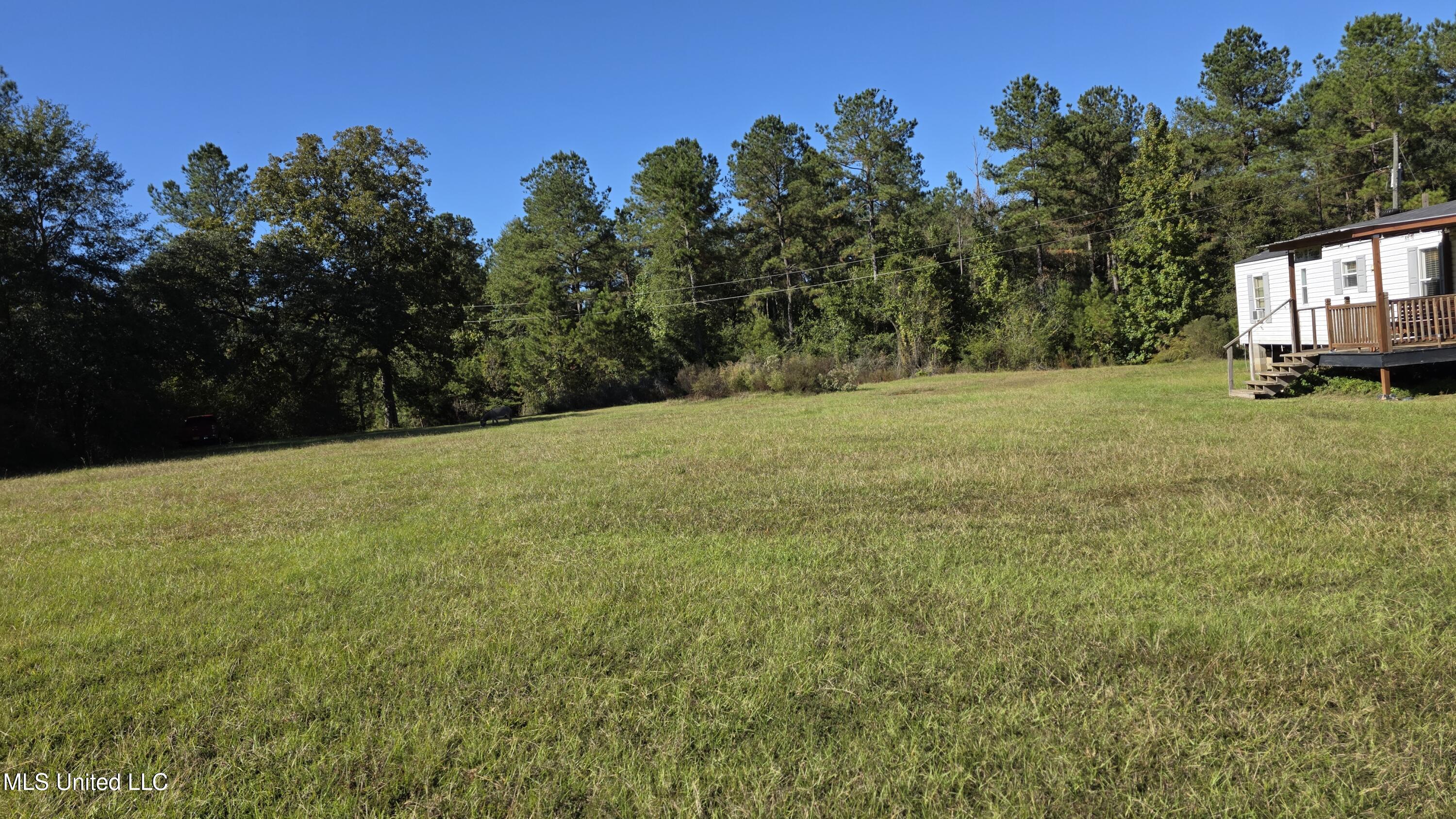 2182 Barto Leggett Road McComb, MS 39648 - Photo 39 of 69 2025-10-22 15.06.04