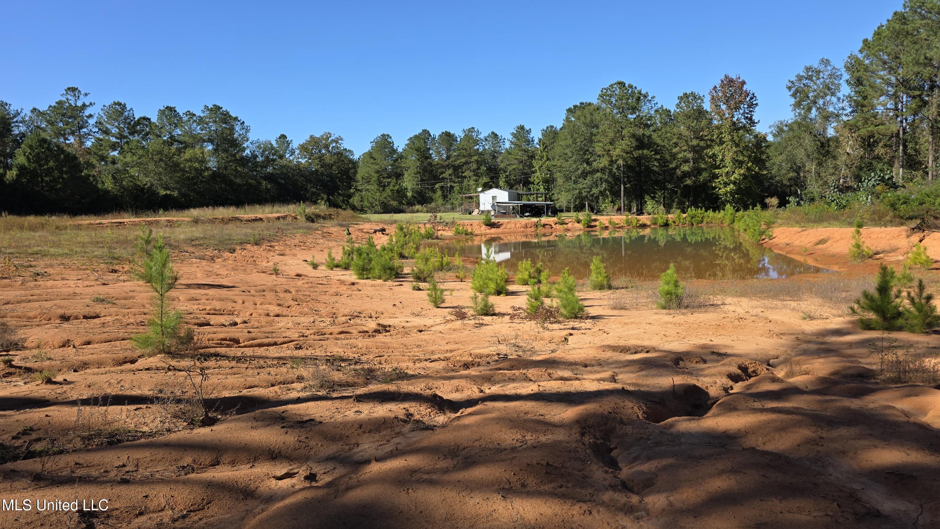 2182 Barto Leggett Road McComb, MS 39648 - Photo 42 of 69 2025-10-22 15.10.07
