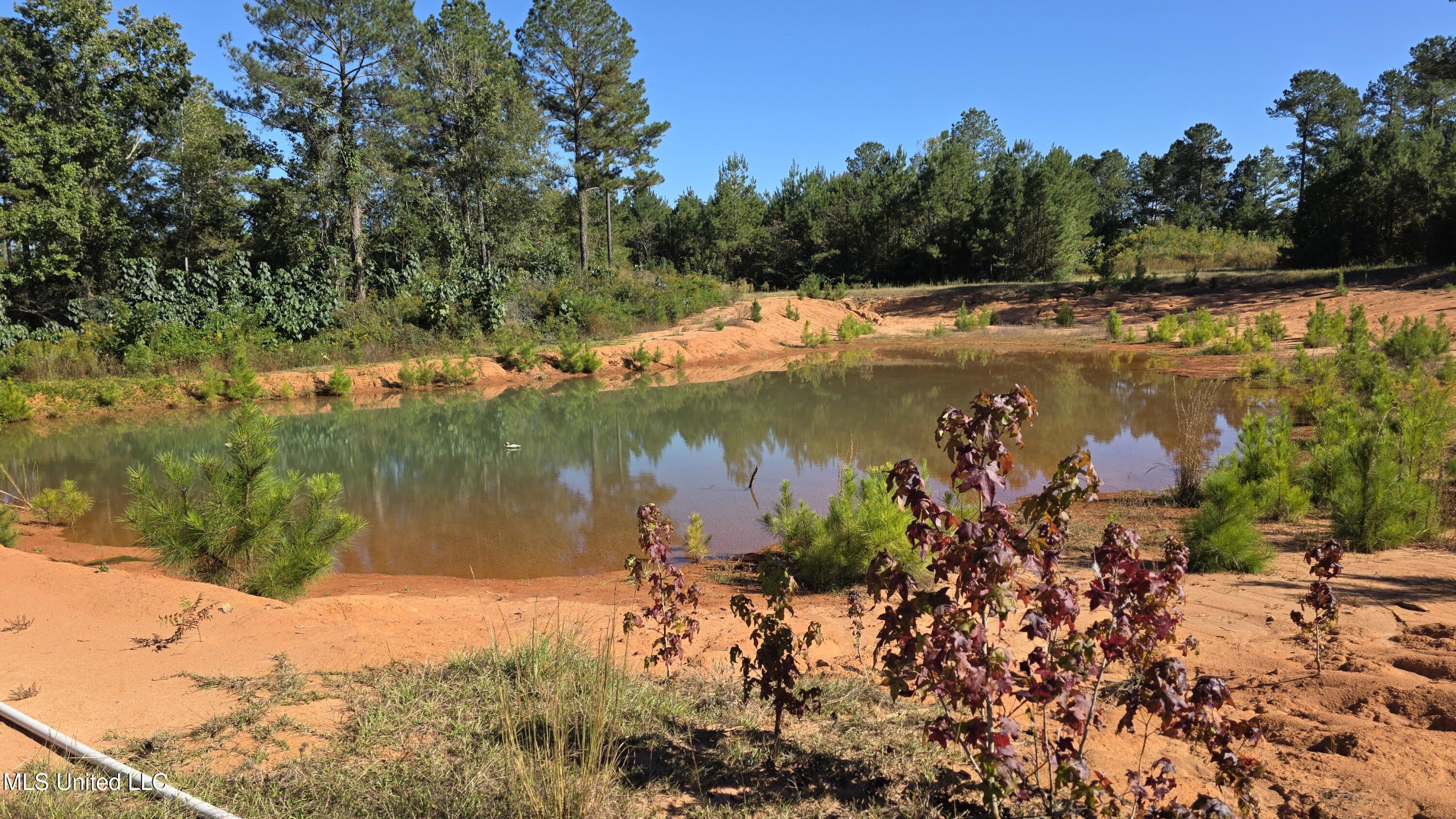 2182 Barto Leggett Road McComb, MS 39648 - Photo 50 of 69 2025-10-22 15.06.25
