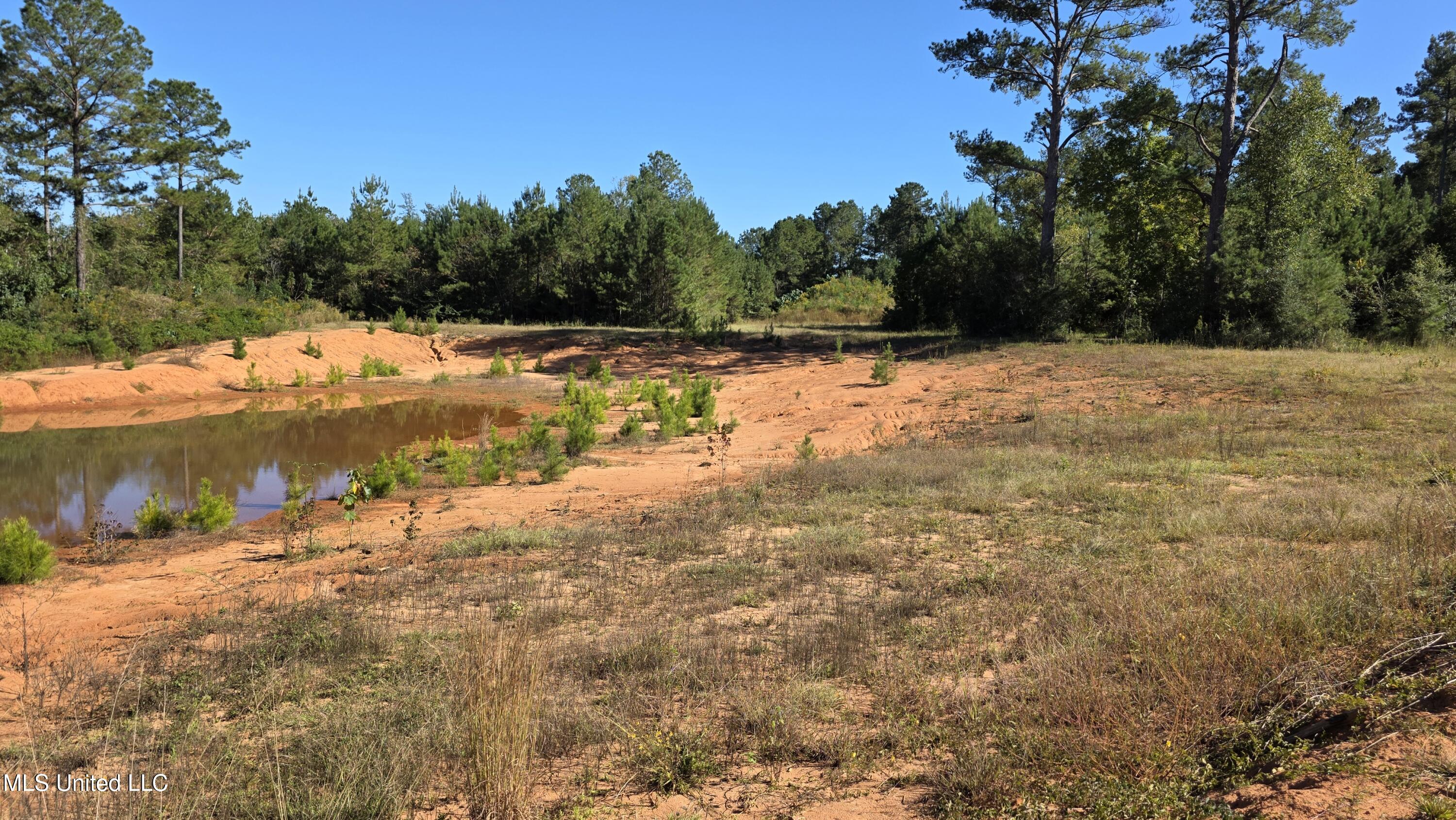 2182 Barto Leggett Road McComb, MS 39648 - Photo 52 of 69 2025-10-22 15.07.40