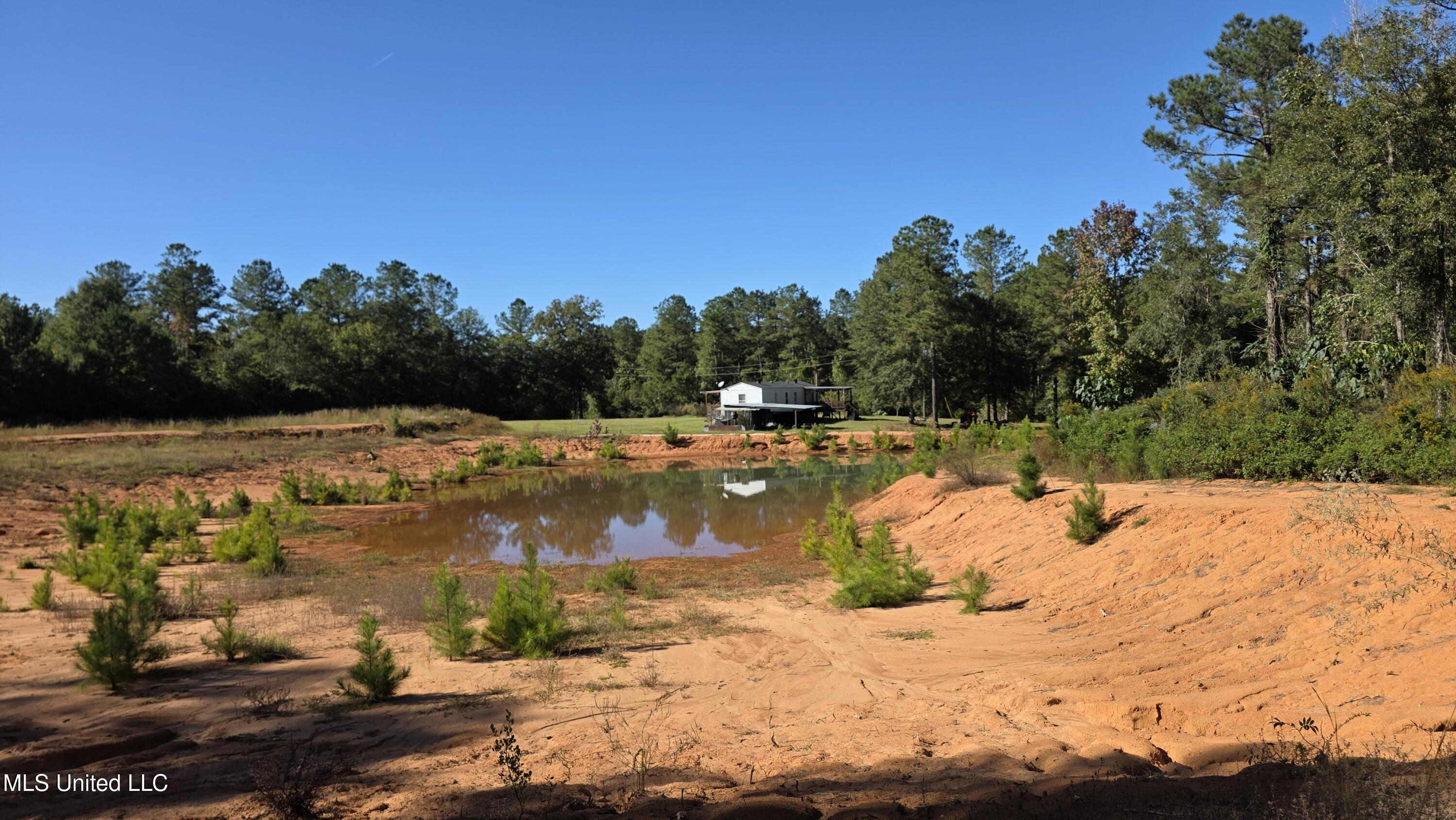 2182 Barto Leggett Road McComb, MS 39648 - Photo 53 of 69 2025-10-22 15.11.31