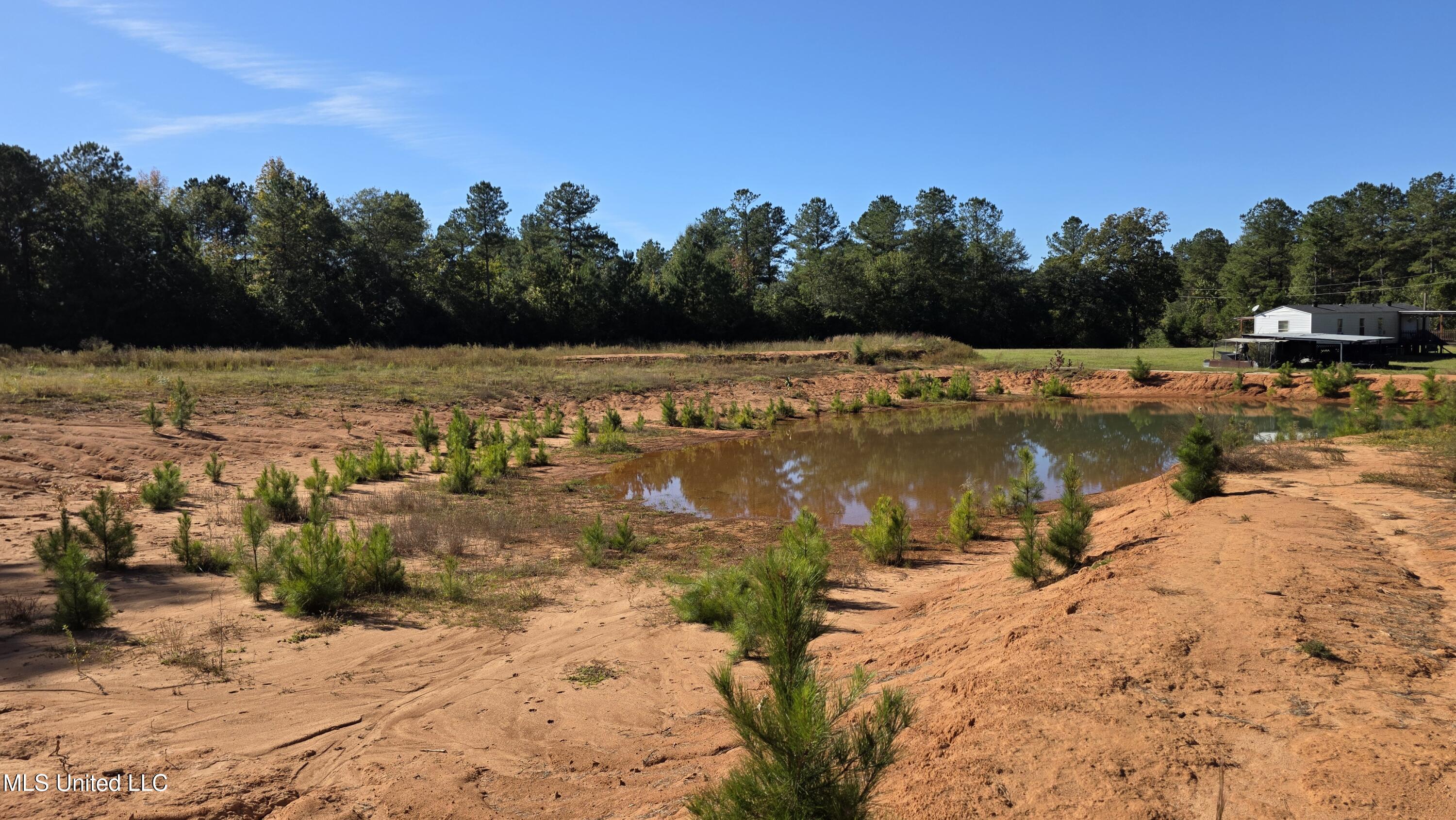 2182 Barto Leggett Road McComb, MS 39648 - Photo 54 of 69 2025-10-22 15.12.09 - Copy