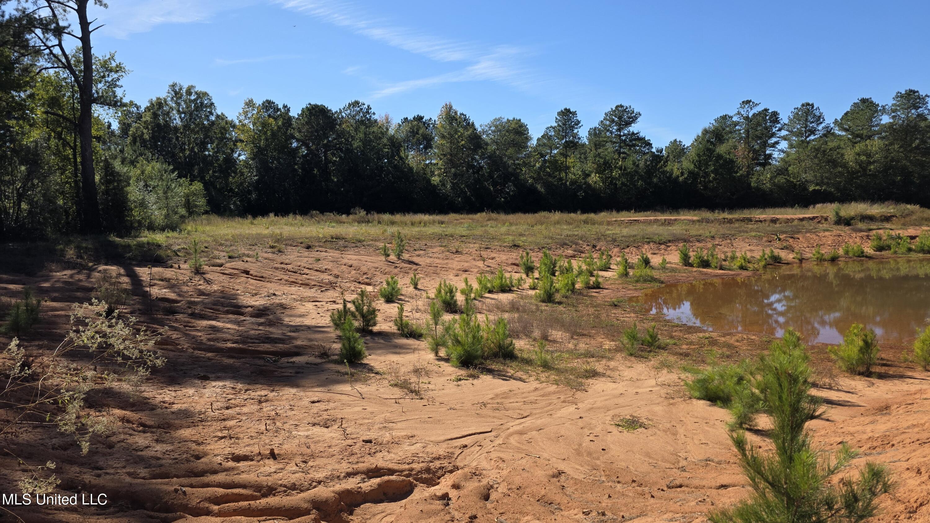 2182 Barto Leggett Road McComb, MS 39648 - Photo 55 of 69 2025-10-22 15.12.10