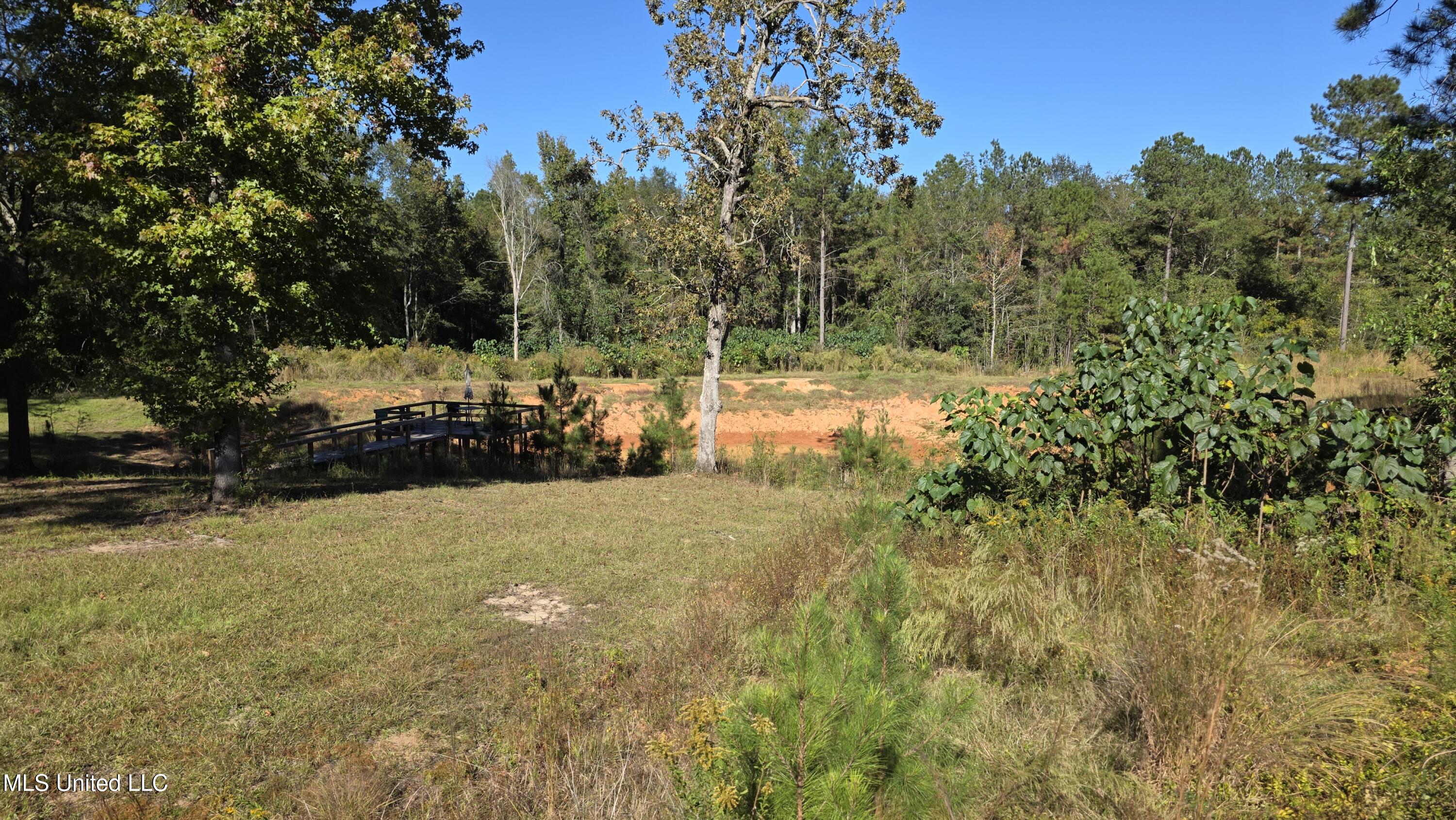 2182 Barto Leggett Road McComb, MS 39648 - Photo 59 of 69 2025-10-22 15.13.51