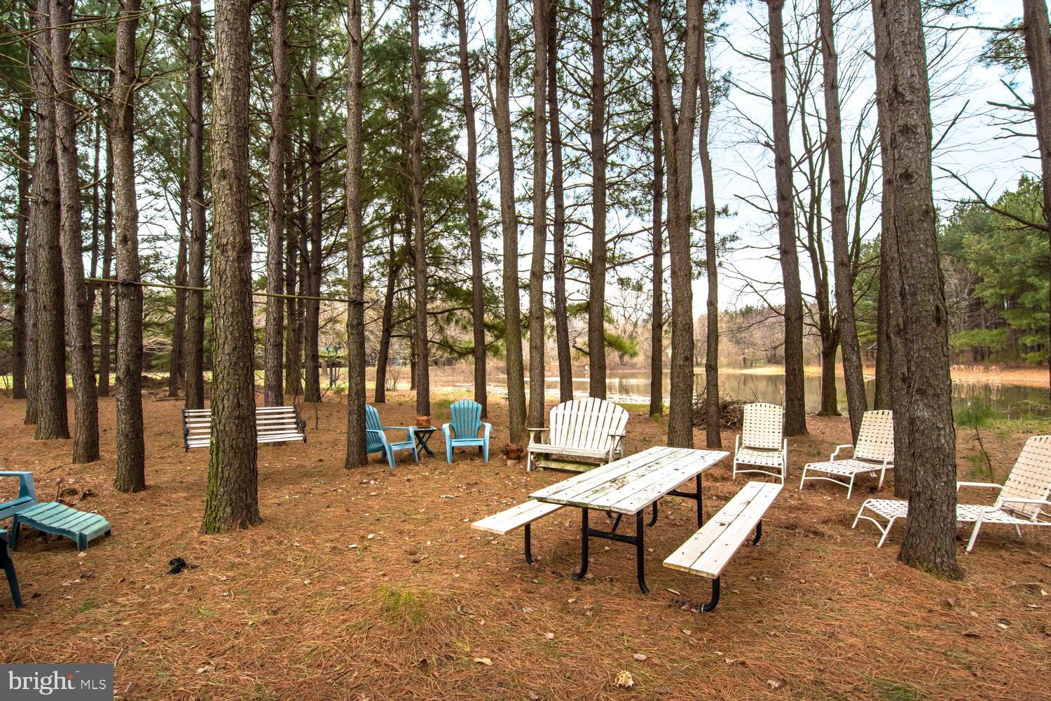 11974 Homestead View Road Worton, MD 21678 - Photo 12 of 41 Gallery Image 12