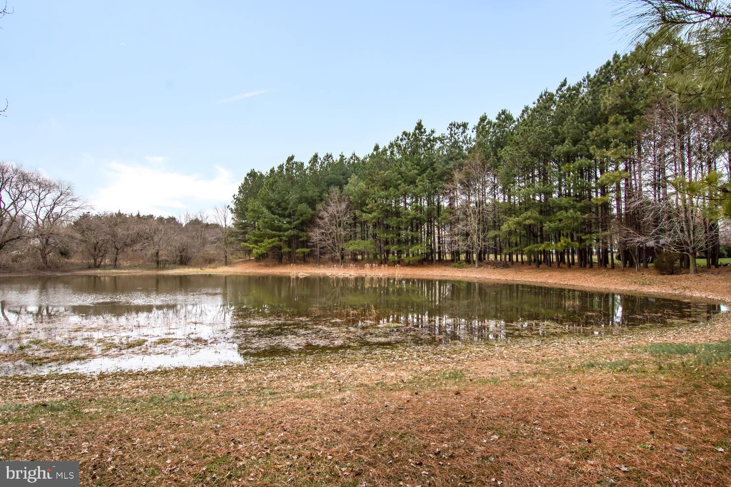 11974 Homestead View Road Worton, MD 21678 - Photo 13 of 41 Gallery Image 13