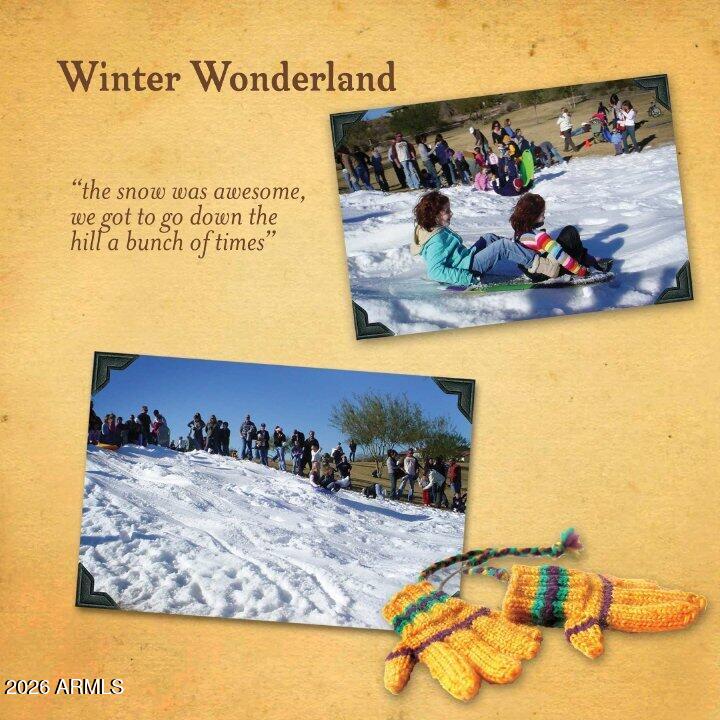 12731 West Eagle Ridge Lane Peoria, AZ 85383 - Photo 88 of 88 Winter Wonderland