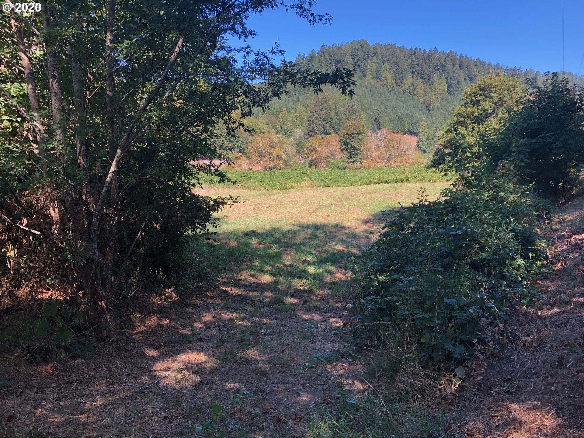 East Mapleton Road, Unit TL300 Mapleton, OR 97453 - Photo 3 of 10 Gallery Image 3