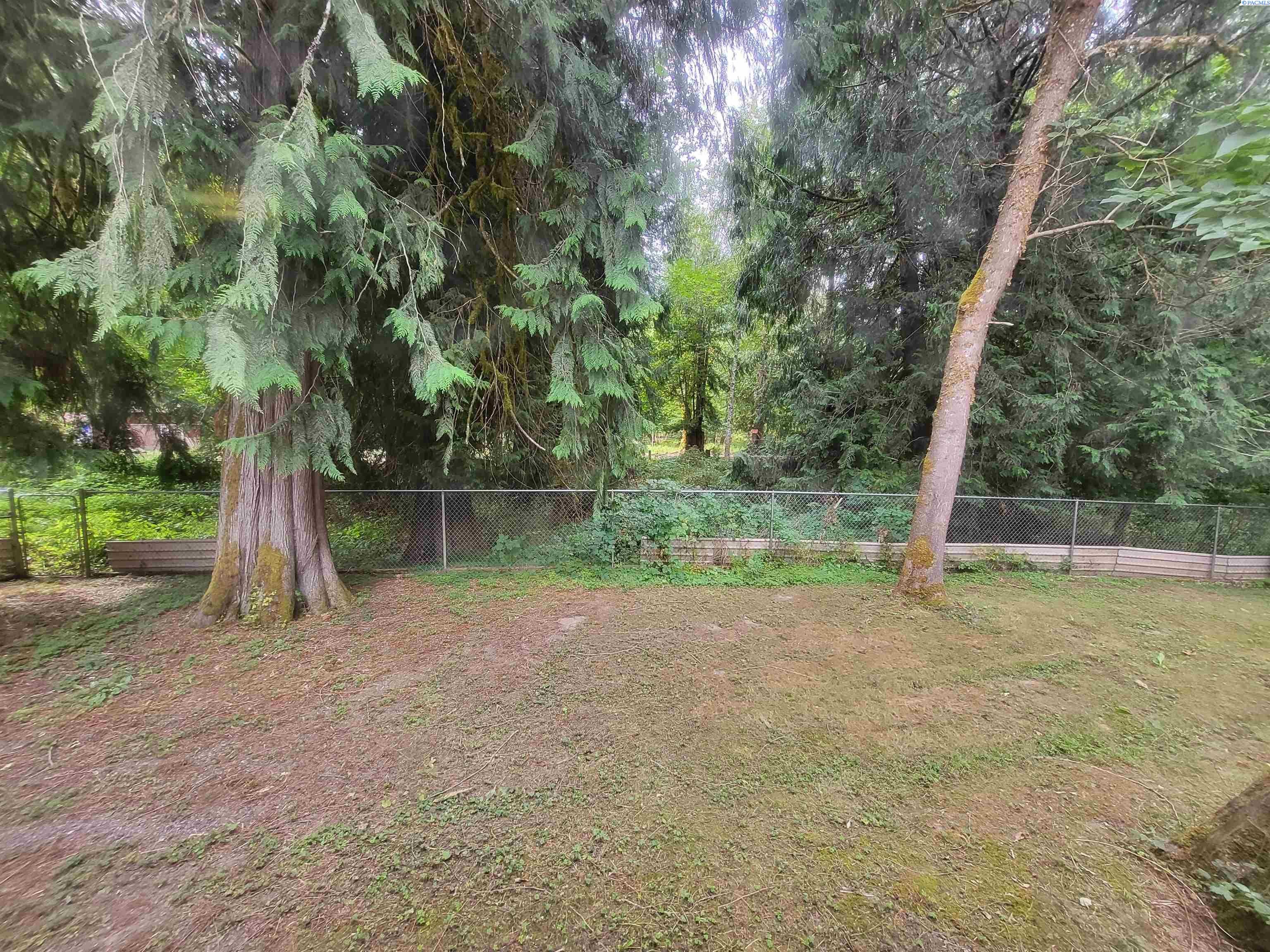 117 Cedar Grove Road Randle, WA 98377 - Photo 27 of 49 Gallery Image 27