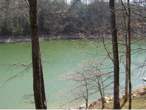 22138 Misty Road Abingdon, VA 24211 - Photo 3 of 5 Photo 3